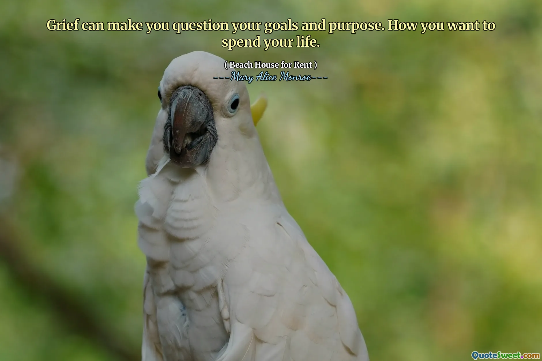 Горе может заставить вас подвергать сомнению ваши цели и цели. Как вы хотите провести свою жизнь.