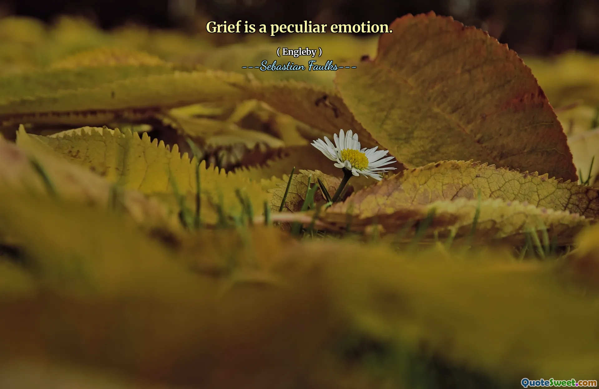 Grief is a peculiar emotion.