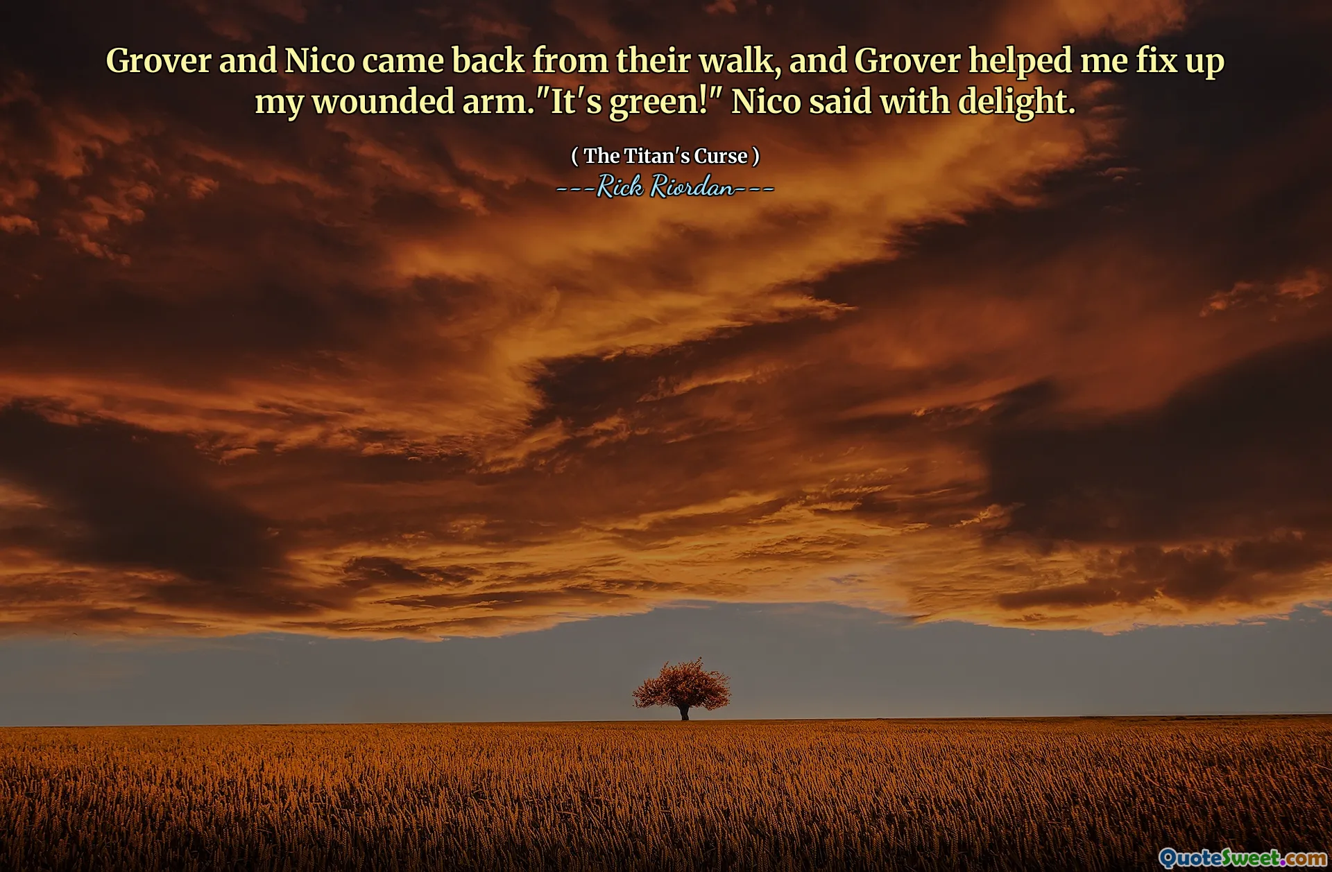 Grover and Nico came back from their walk, and Grover helped me fix up my wounded arm."It's green!" Nico said with delight.