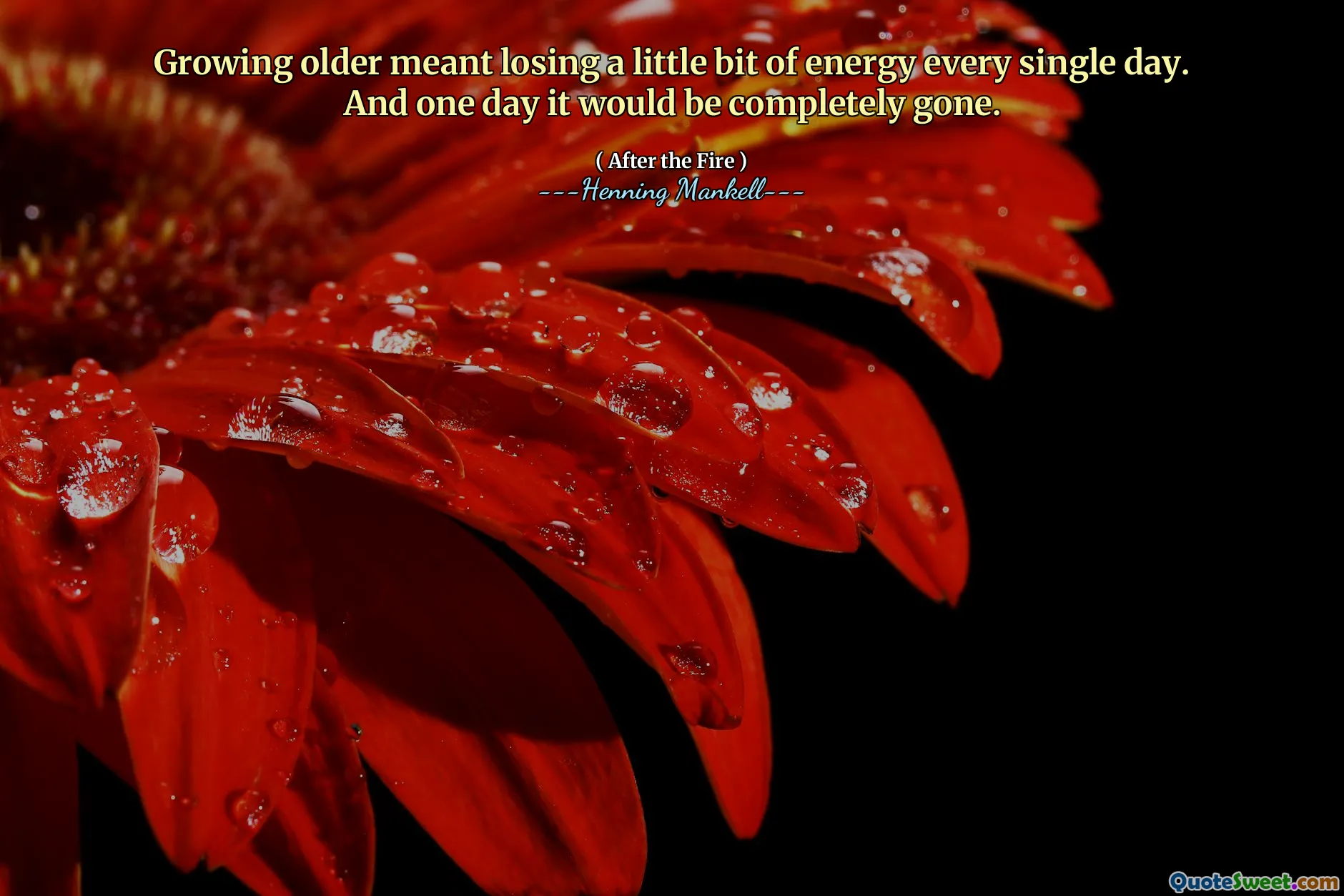 Growing older meant losing a little bit of energy every single day. And one day it would be completely gone.