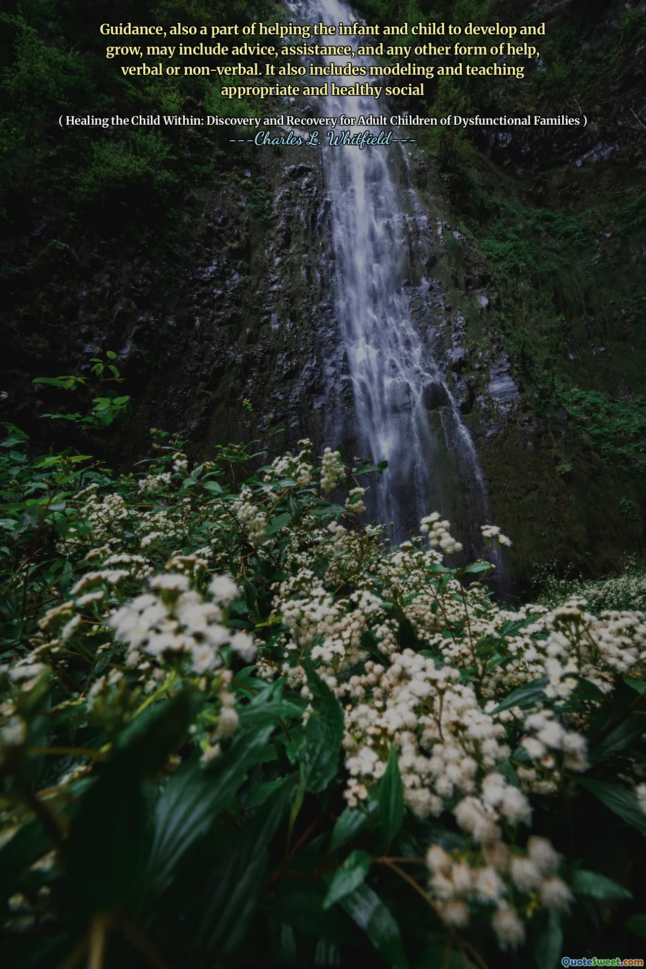 Guidance, also a part of helping the infant and child to develop and grow, may include advice, assistance, and any other form of help, verbal or non-verbal. It also includes modeling and teaching appropriate and healthy social