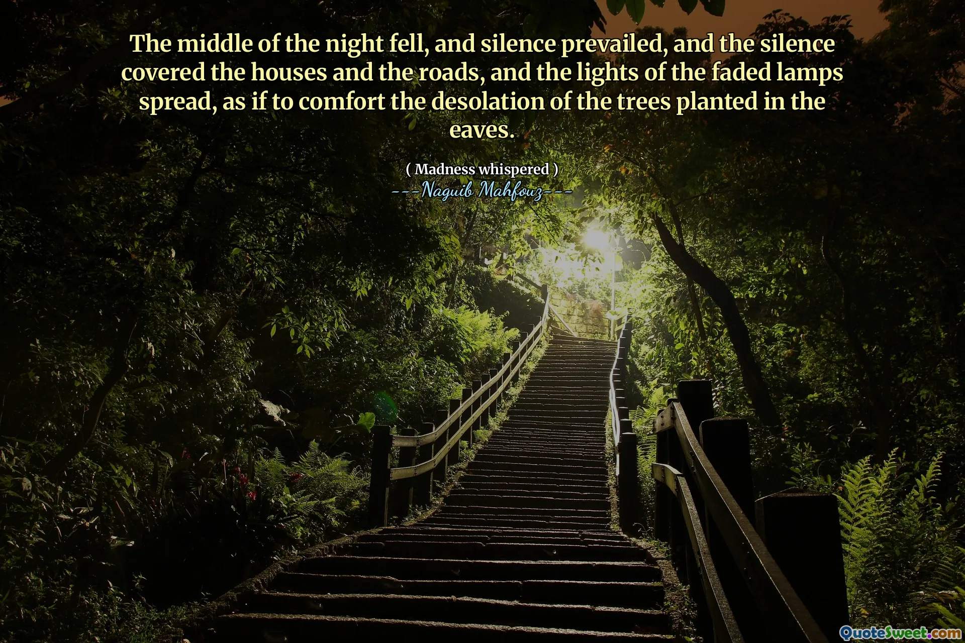 Середина ночи упала, и тишина преобладала, и молчание покрывало дома и дороги, а огни выцветших ламп распространились, как будто для утешения опустошения деревьев, посаженных в карнице.