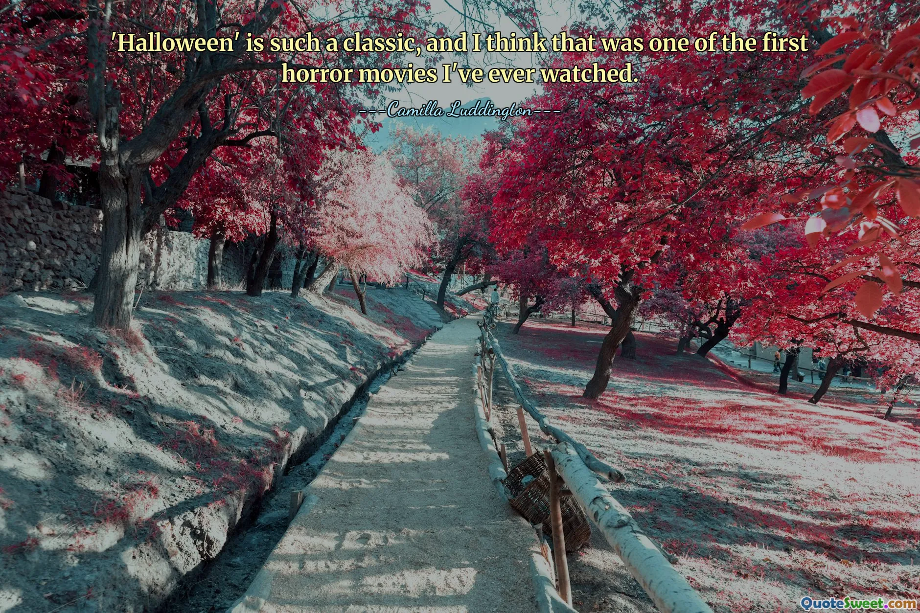 'Halloween' sangat klasik, dan menurut saya itu adalah salah satu film horor pertama yang pernah saya tonton.