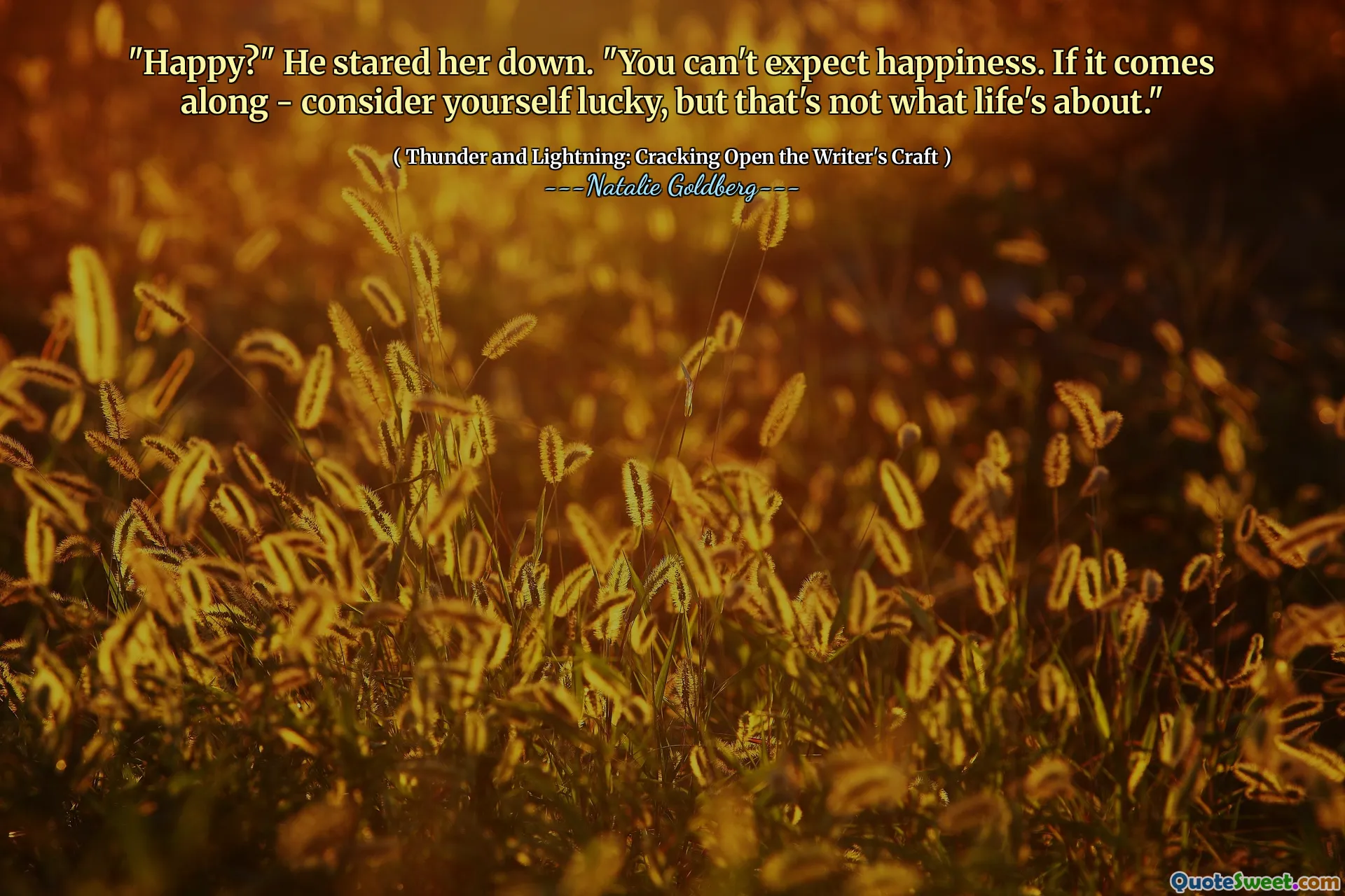 "Happy?" He stared her down. "You can't expect happiness. If it comes along - consider yourself lucky, but that's not what life's about."