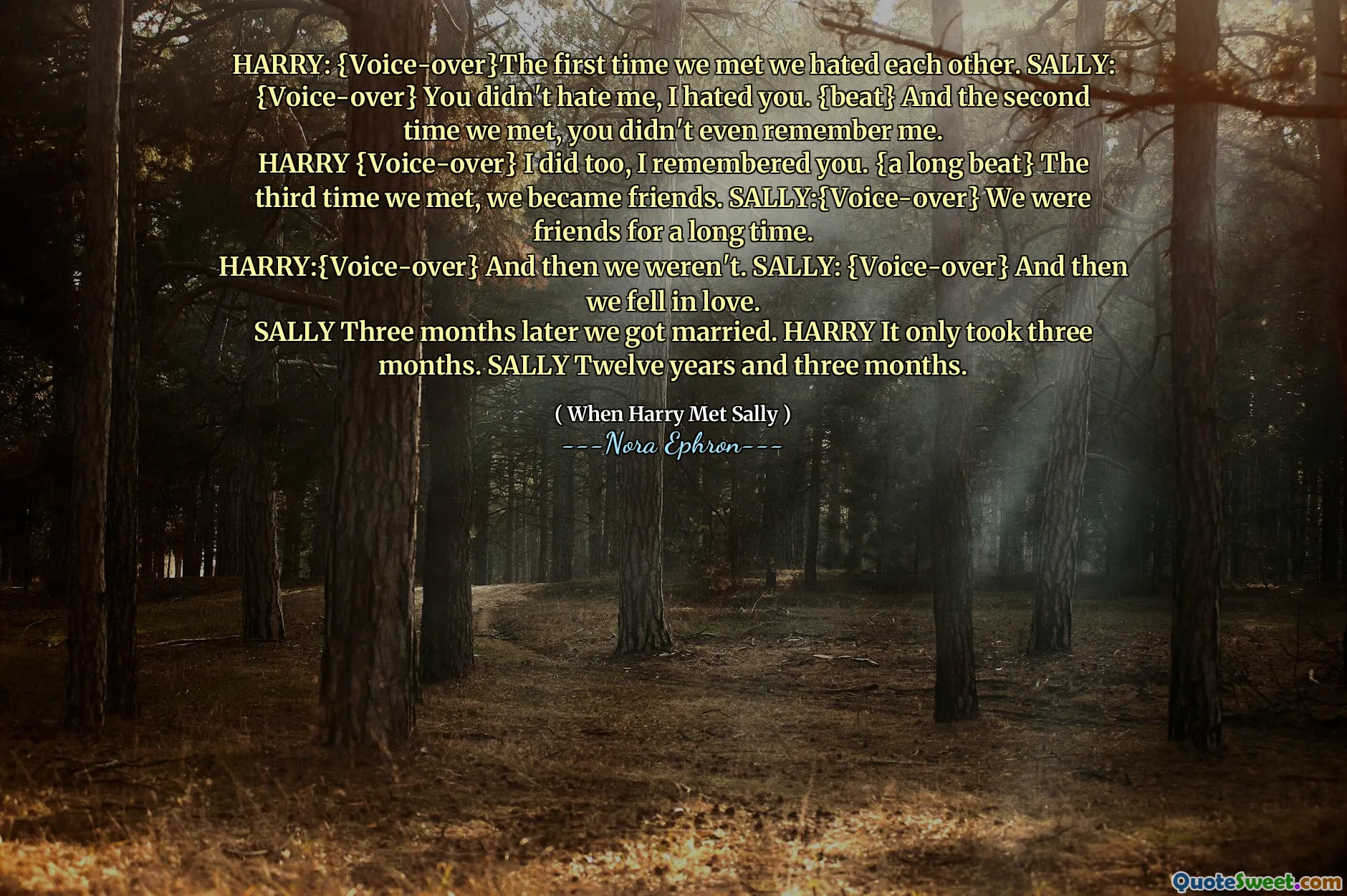 HARRY: {Voice-over}The first time we met we hated each other. SALLY:
{Voice-over} You didn't hate me, I hated you. {beat} And the second time we met, you didn't even remember me.
HARRY {Voice-over} I did too, I remembered you. {a long beat} The third time we met, we became friends. SALLY:{Voice-over} We were friends for a long time.
HARRY:{Voice-over} And then we weren't. SALLY: {Voice-over} And then we fell in love.
SALLY Three months later we got married. HARRY It only took three months. SALLY Twelve years and three months.