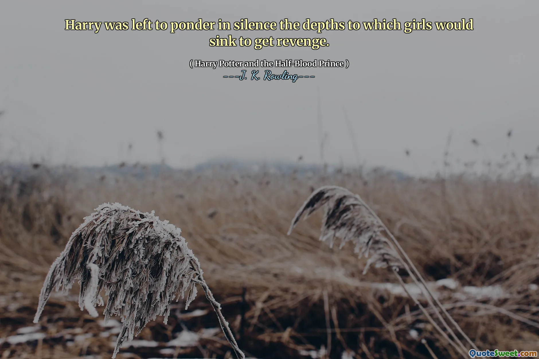 Harry was left to ponder in silence the depths to which girls would sink to get revenge.