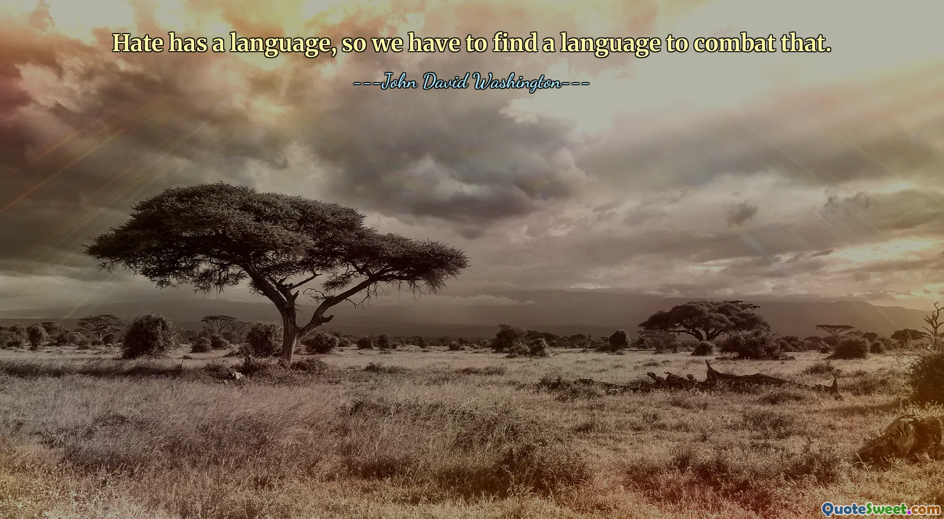 Hate has a language, so we have to find a language to combat that.