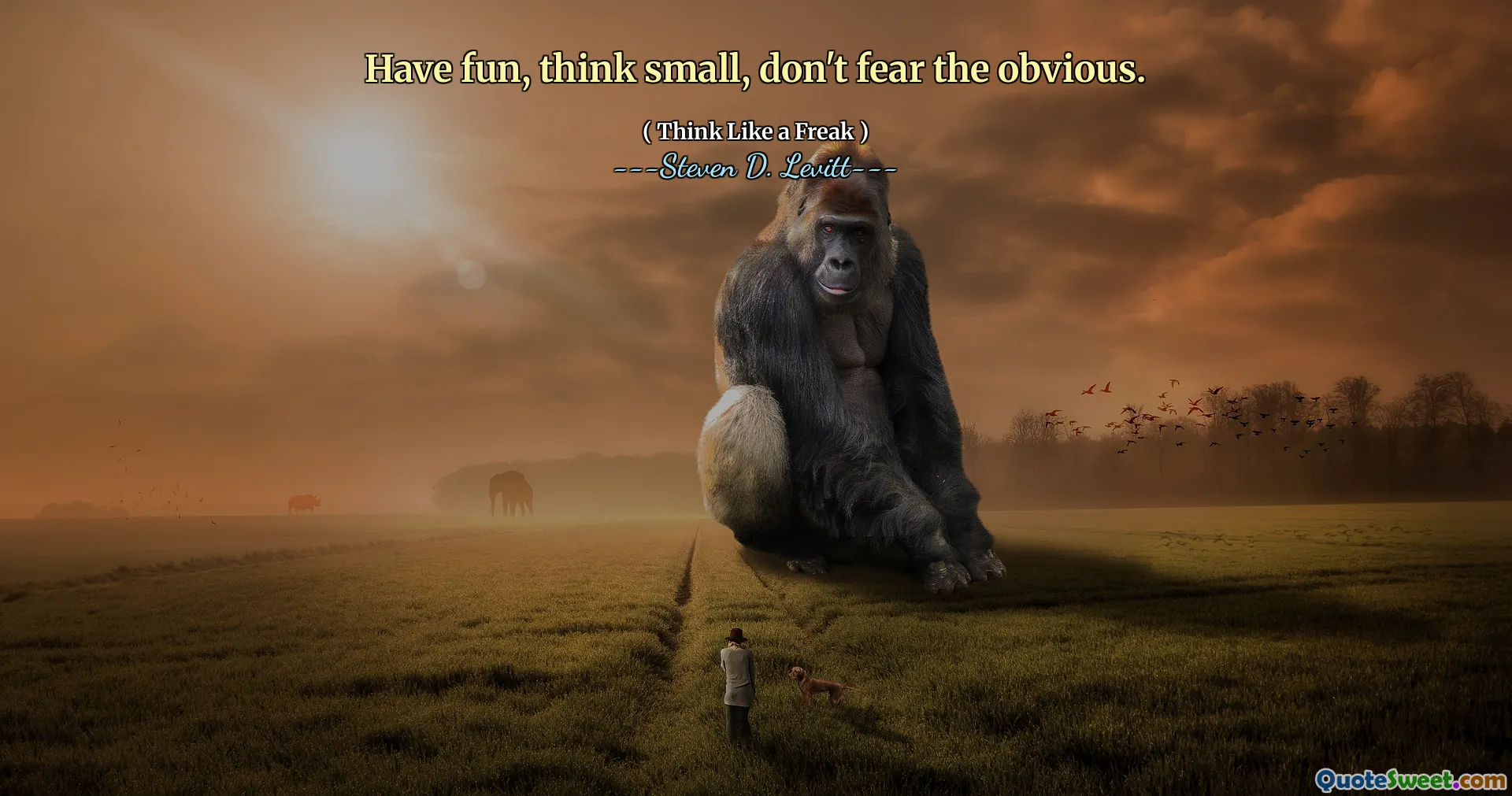 Have fun, think small, don't fear the obvious.