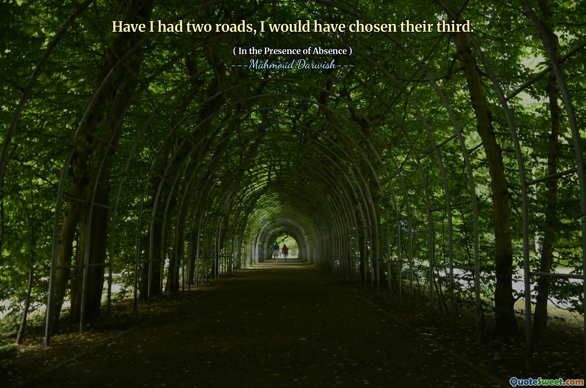 Have I had two roads, I would have chosen their third.