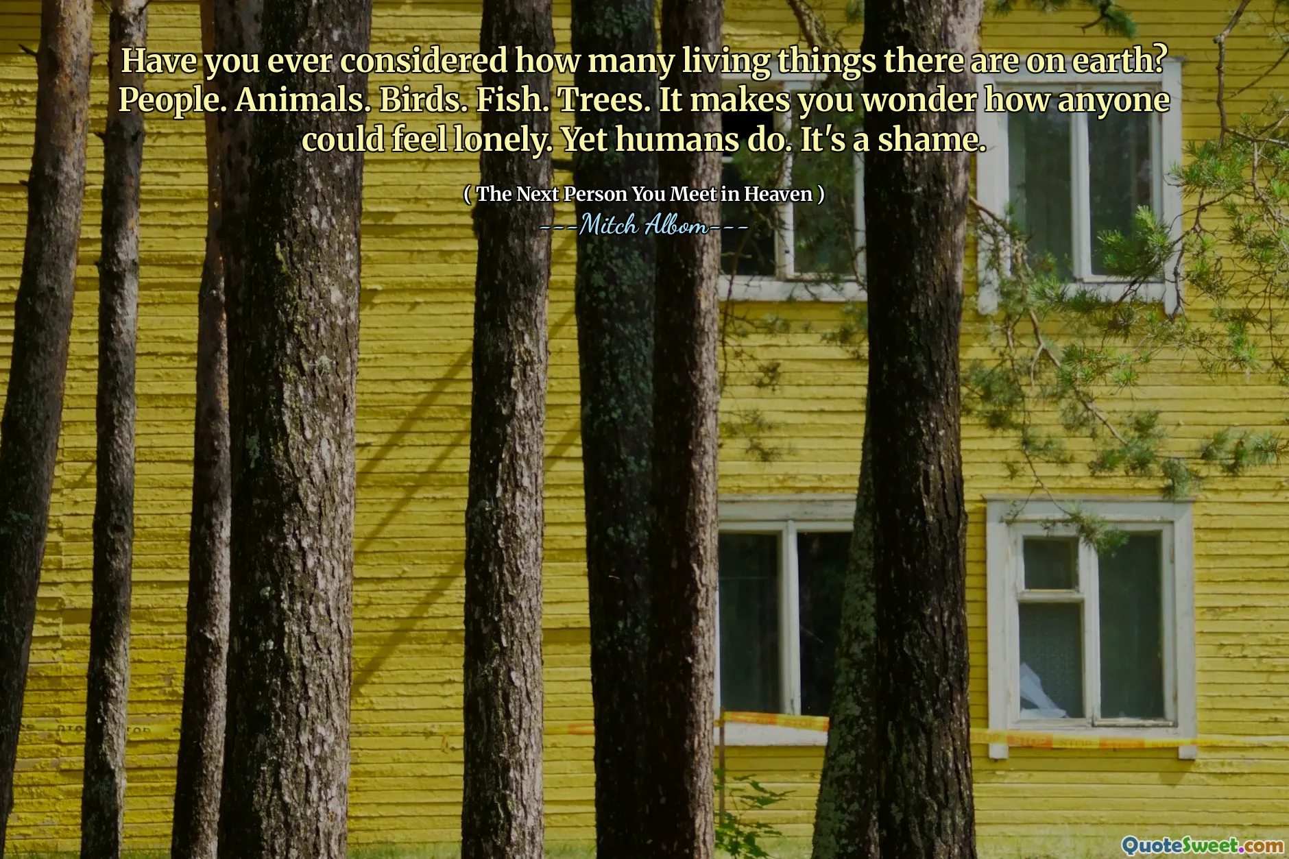 Har du någonsin övervägt hur många levande saker som finns på jorden? Personer. Djur. Fåglar. Fisk. Träd. Det får dig att undra hur någon kunde känna sig ensam. Ändå gör människor. Det är synd.