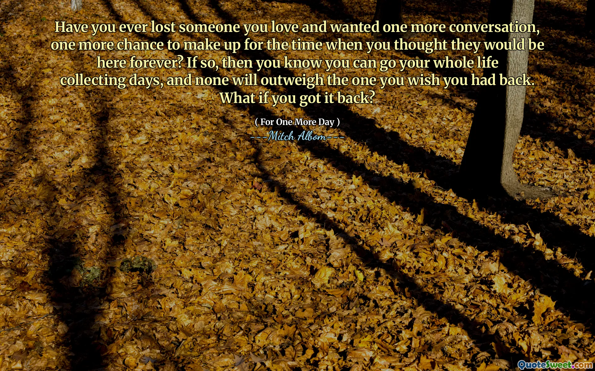 Have you ever lost someone you love and wanted one more conversation, one more chance to make up for the time when you thought they would be here forever? If so, then you know you can go your whole life collecting days, and none will outweigh the one you wish you had back. What if you got it back?
