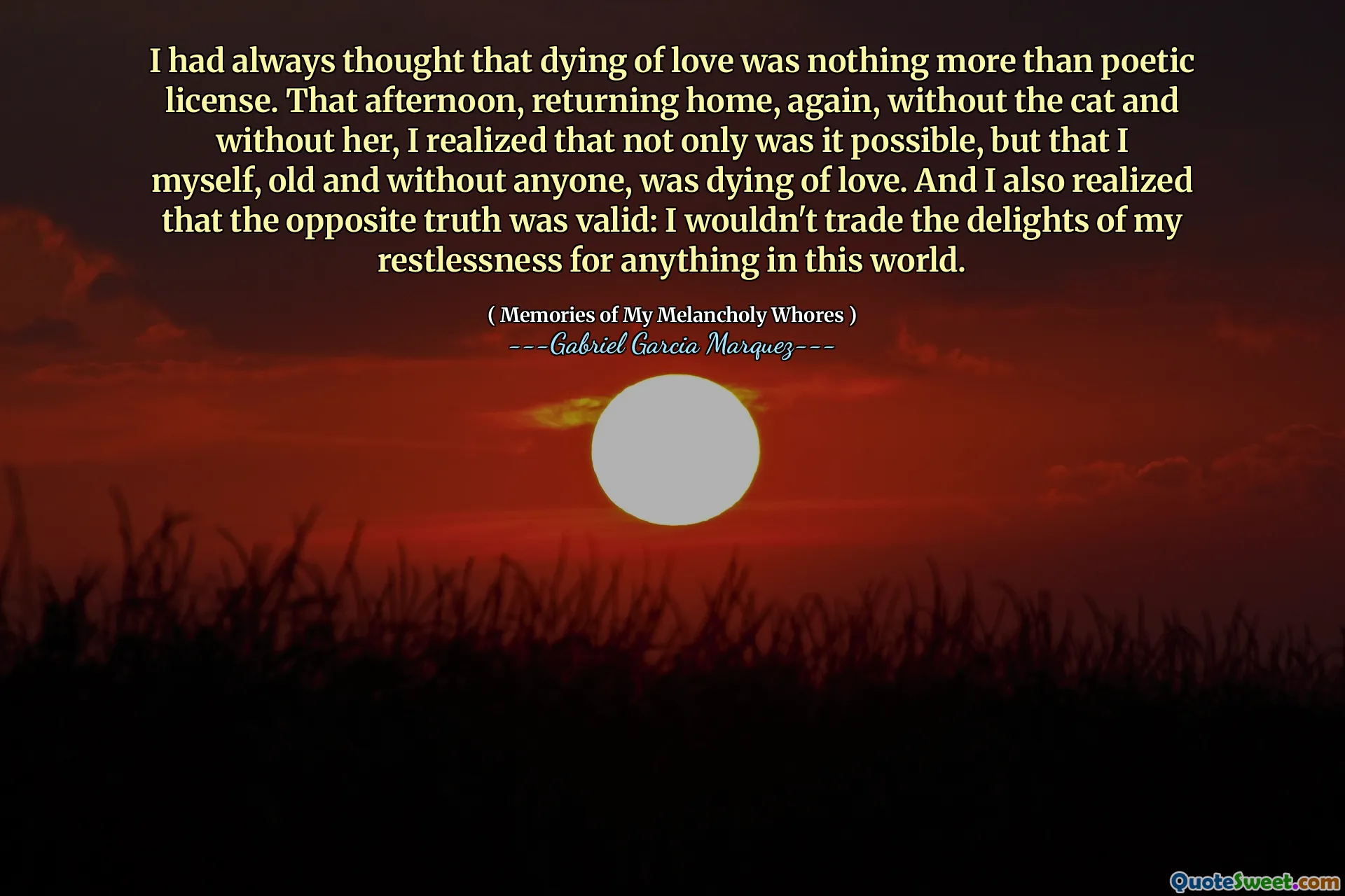 I had always thought that dying of love was nothing more than poetic license. That afternoon, returning home, again, without the cat and without her, I realized that not only was it possible, but that I myself, old and without anyone, was dying of love. And I also realized that the opposite truth was valid: I wouldn't trade the delights of my restlessness for anything in this world.