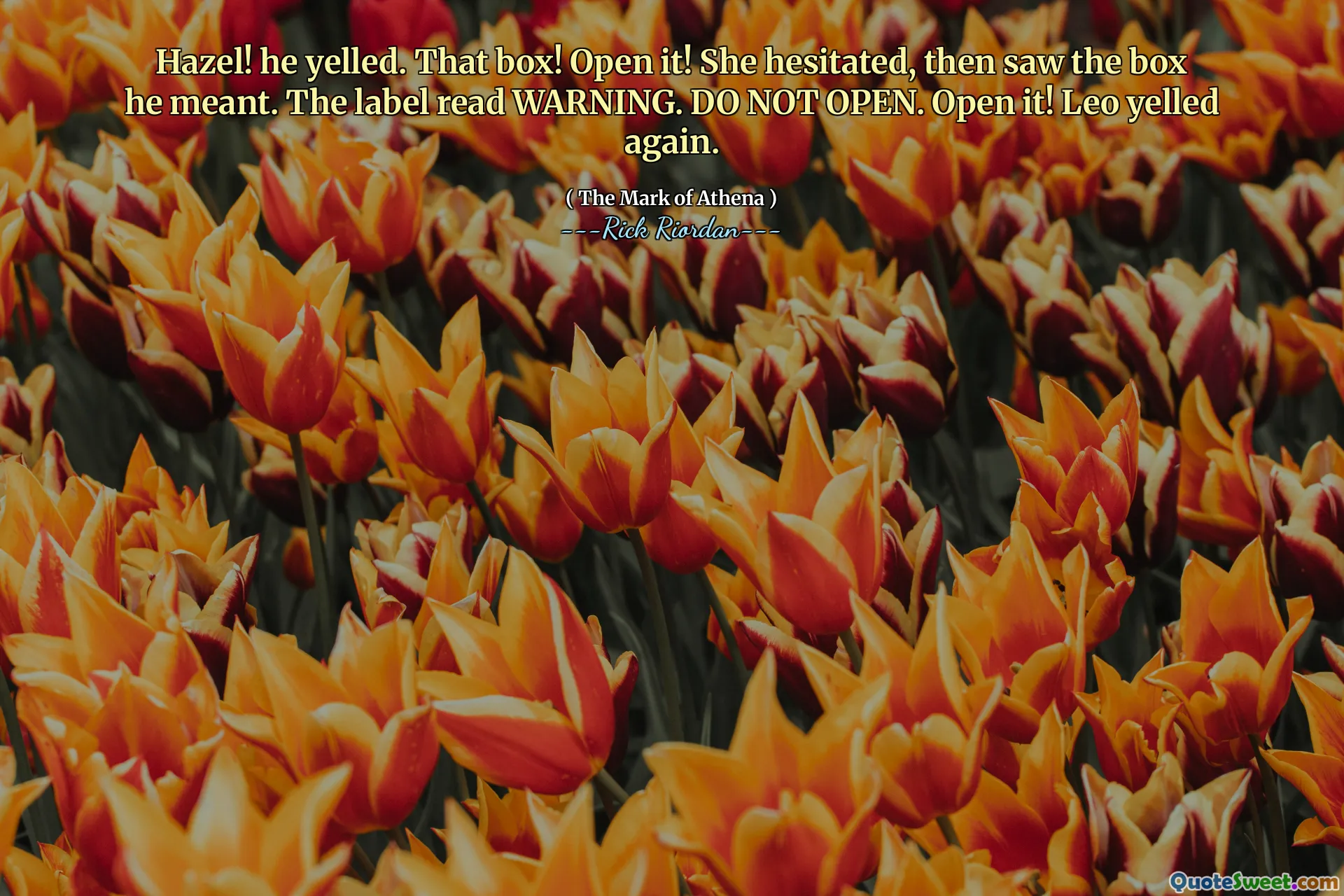 Hazel! he yelled. That box! Open it! She hesitated, then saw the box he meant. The label read WARNING. DO NOT OPEN. Open it! Leo yelled again.