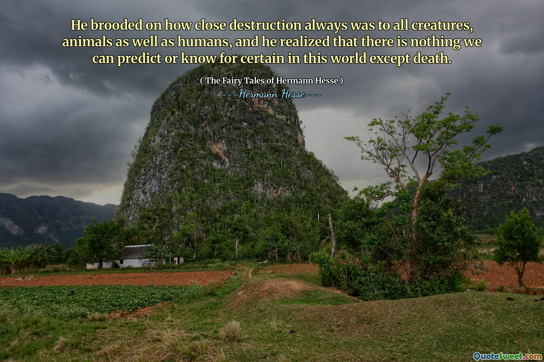 He brooded on how close destruction always was to all creatures, animals as well as humans, and he realized that there is nothing we can predict or know for certain in this world except death.
