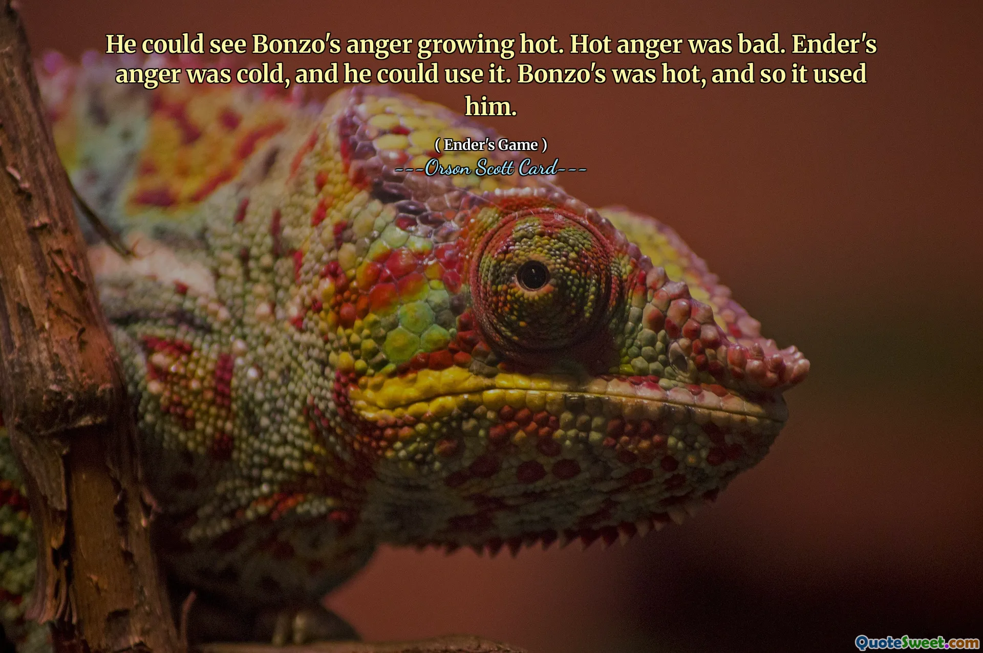 El a putut vedea furia lui Bonzo devenind fierbinte. Furia fierbinte a fost rea. Furia lui Ender era rece și o putea folosi. Bonzo a fost fierbinte și așa l -a folosit.