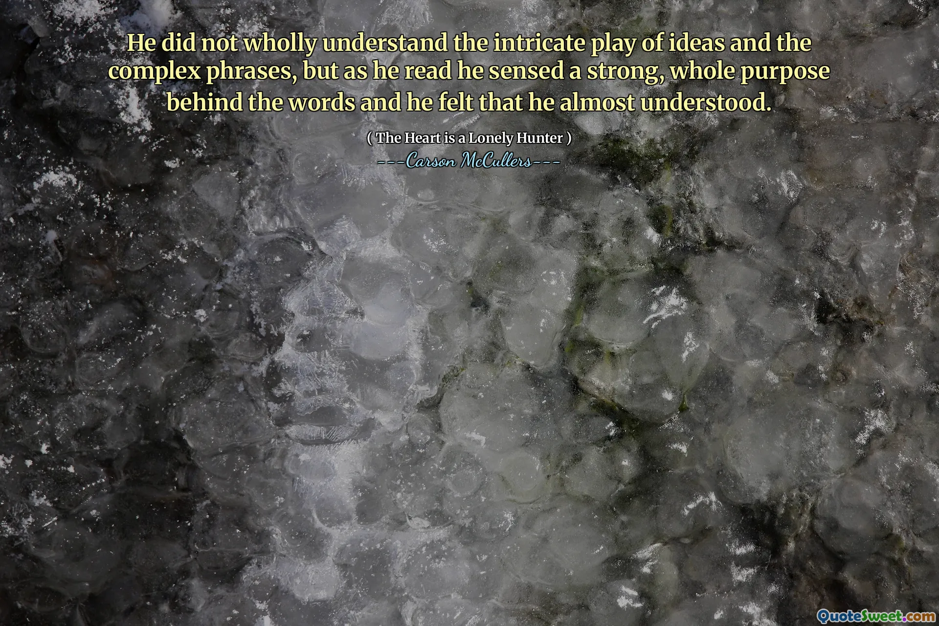He did not wholly understand the intricate play of ideas and the complex phrases, but as he read he sensed a strong, whole purpose behind the words and he felt that he almost understood.
