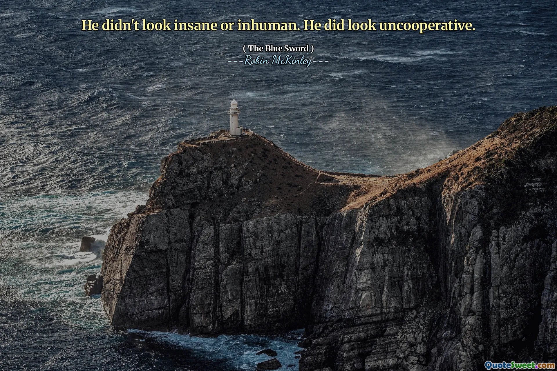 他看起来并不疯狂或不人道。他看起来确实不合作。