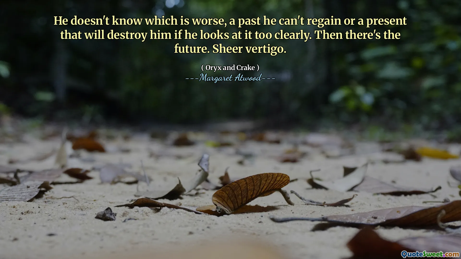 He doesn't know which is worse, a past he can't regain or a present that will destroy him if he looks at it too clearly. Then there's the future. Sheer vertigo.