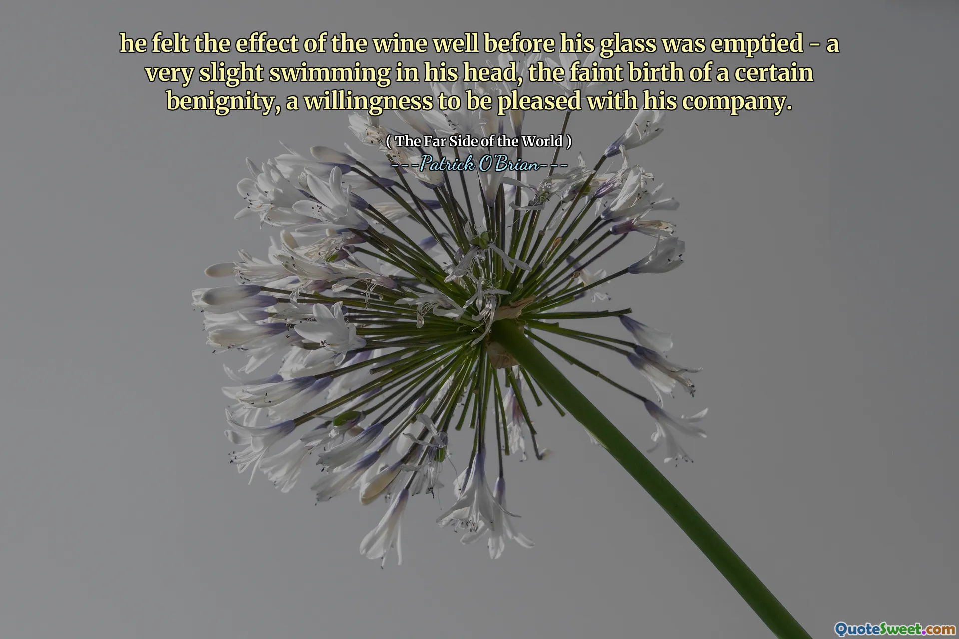 he felt the effect of the wine well before his glass was emptied - a very slight swimming in his head, the faint birth of a certain benignity, a willingness to be pleased with his company.