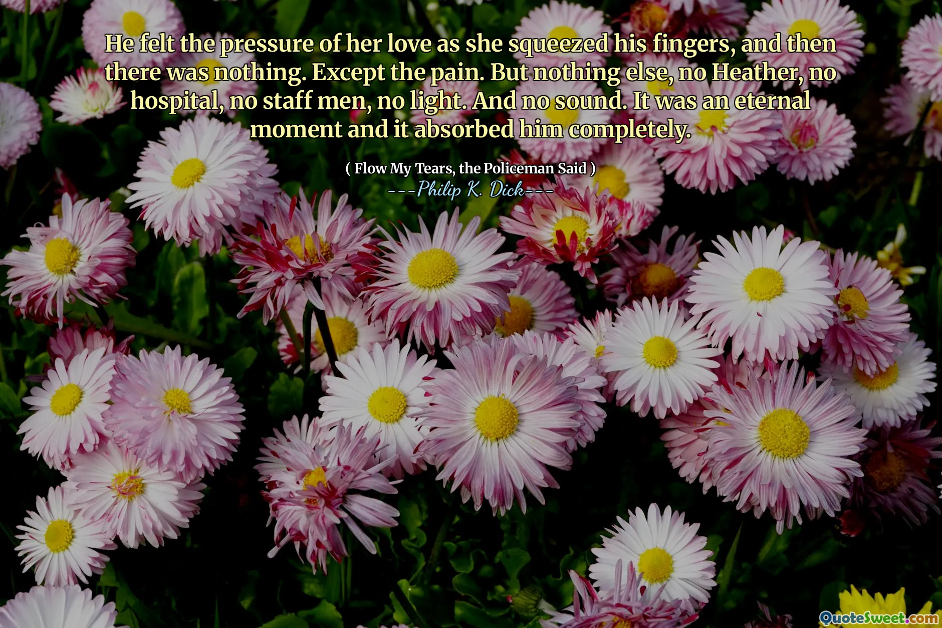 He felt the pressure of her love as she squeezed his fingers, and then there was nothing. Except the pain. But nothing else, no Heather, no hospital, no staff men, no light. And no sound. It was an eternal moment and it absorbed him completely.