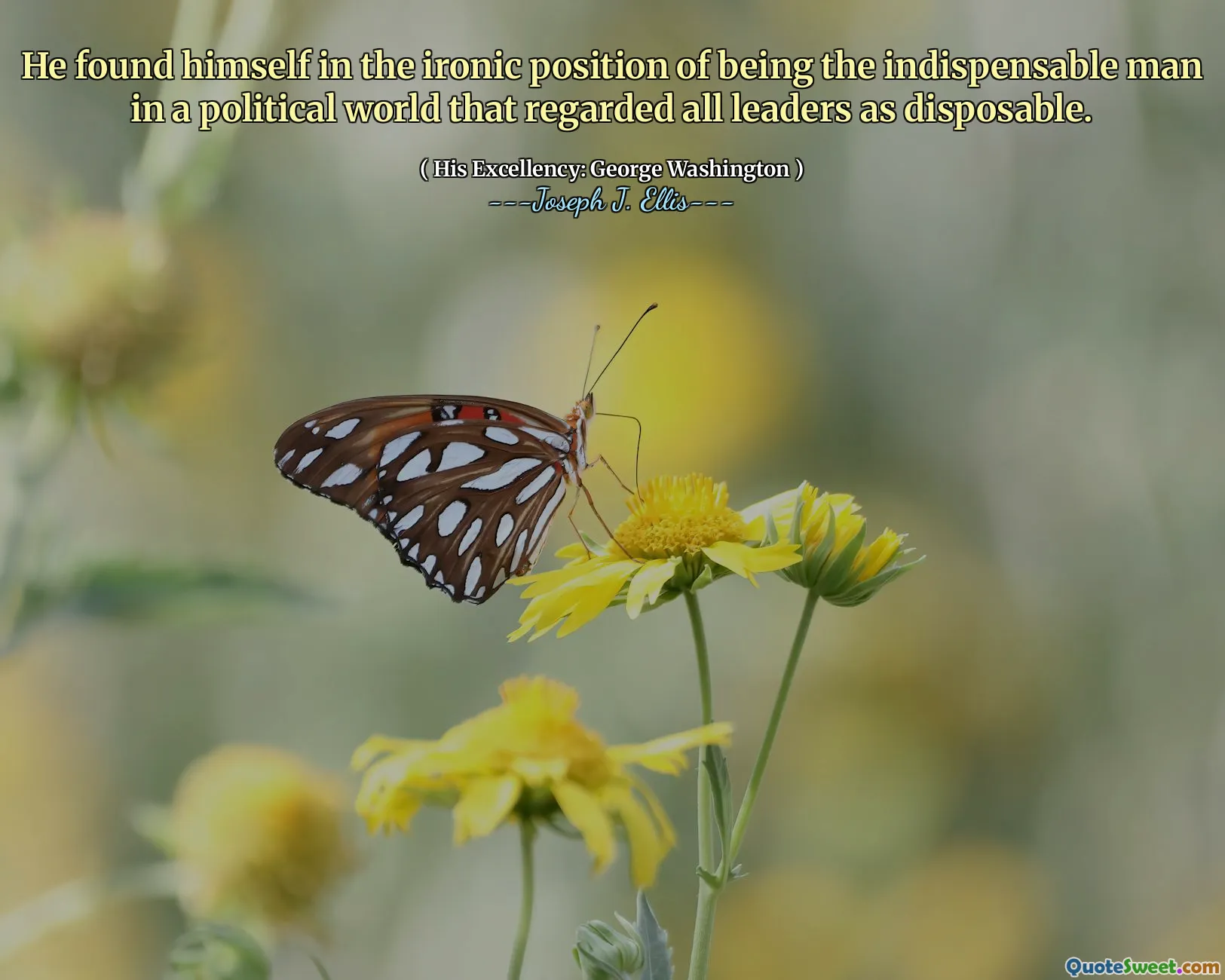 He found himself in the ironic position of being the indispensable man in a political world that regarded all leaders as disposable.