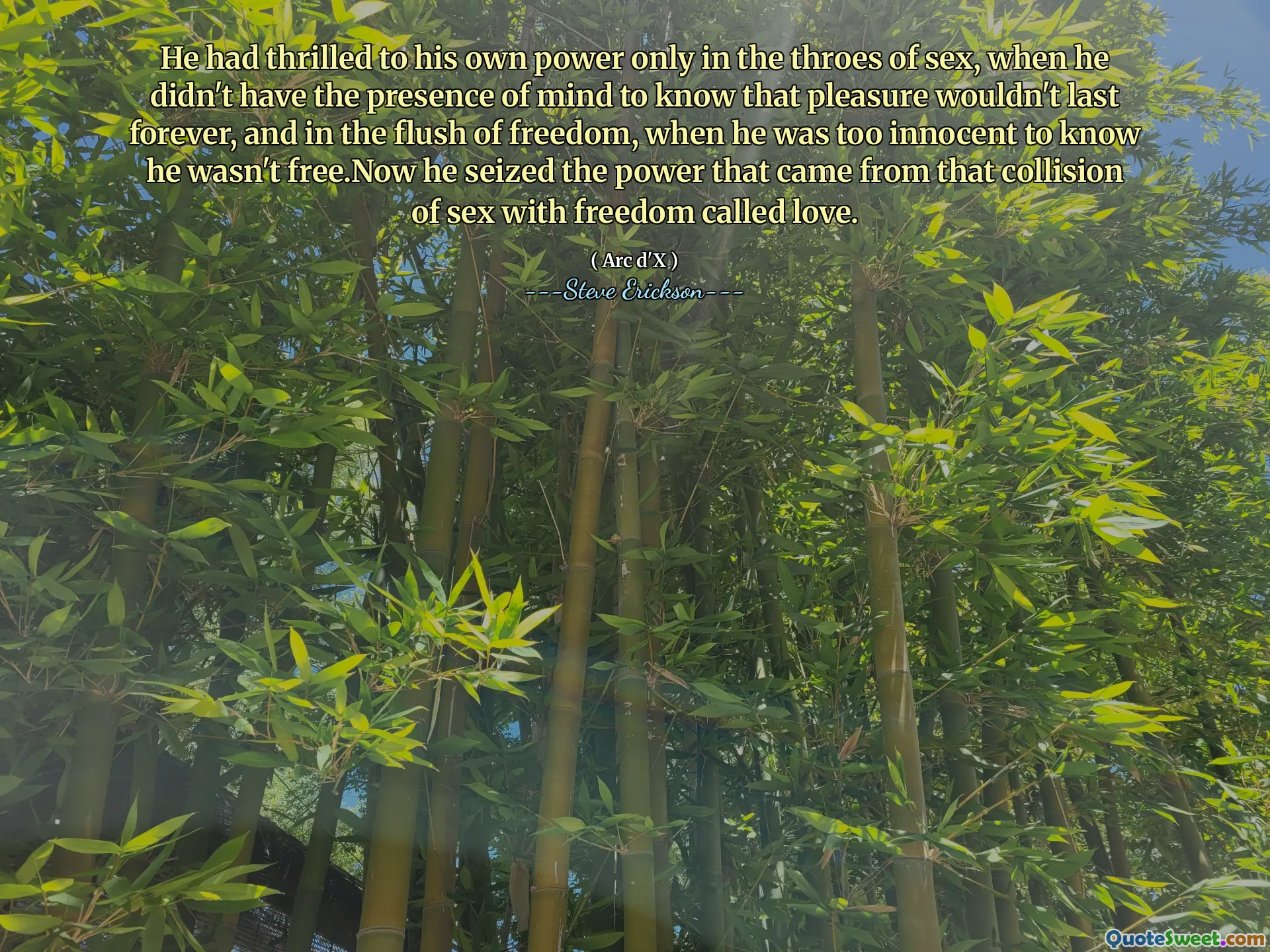 Han hade glada över sin egen kraft bara i könens trö, när han inte hade sinnet att veta att nöjet inte skulle vara för evigt, och i frihetens spolning, när han var för oskyldig för att veta att han inte var fri. Nu grep han kraften som kom från den kollisionen av sex med frihet som kallas kärlek.