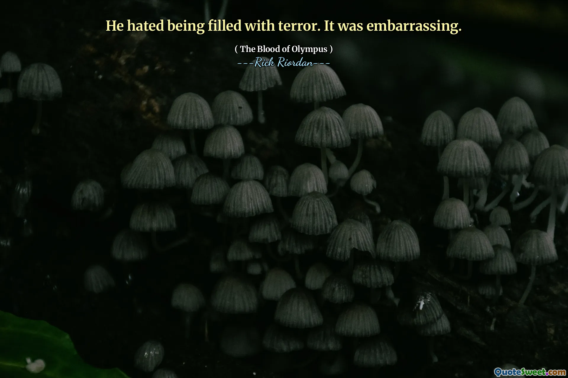 He hated being filled with terror. It was embarrassing.