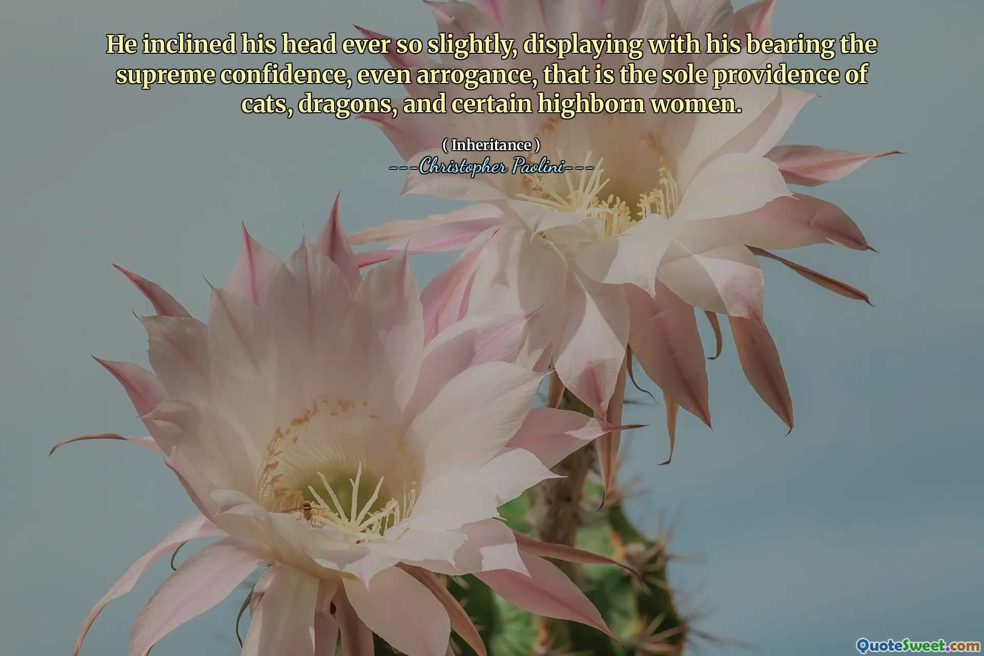 He inclined his head ever so slightly, displaying with his bearing the supreme confidence, even arrogance, that is the sole providence of cats, dragons, and certain highborn women.