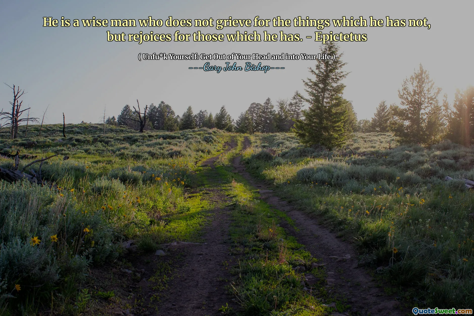 È un uomo saggio che non si addolora per le cose che non ha, ma si rallegra per coloro che ha. - Epictetus