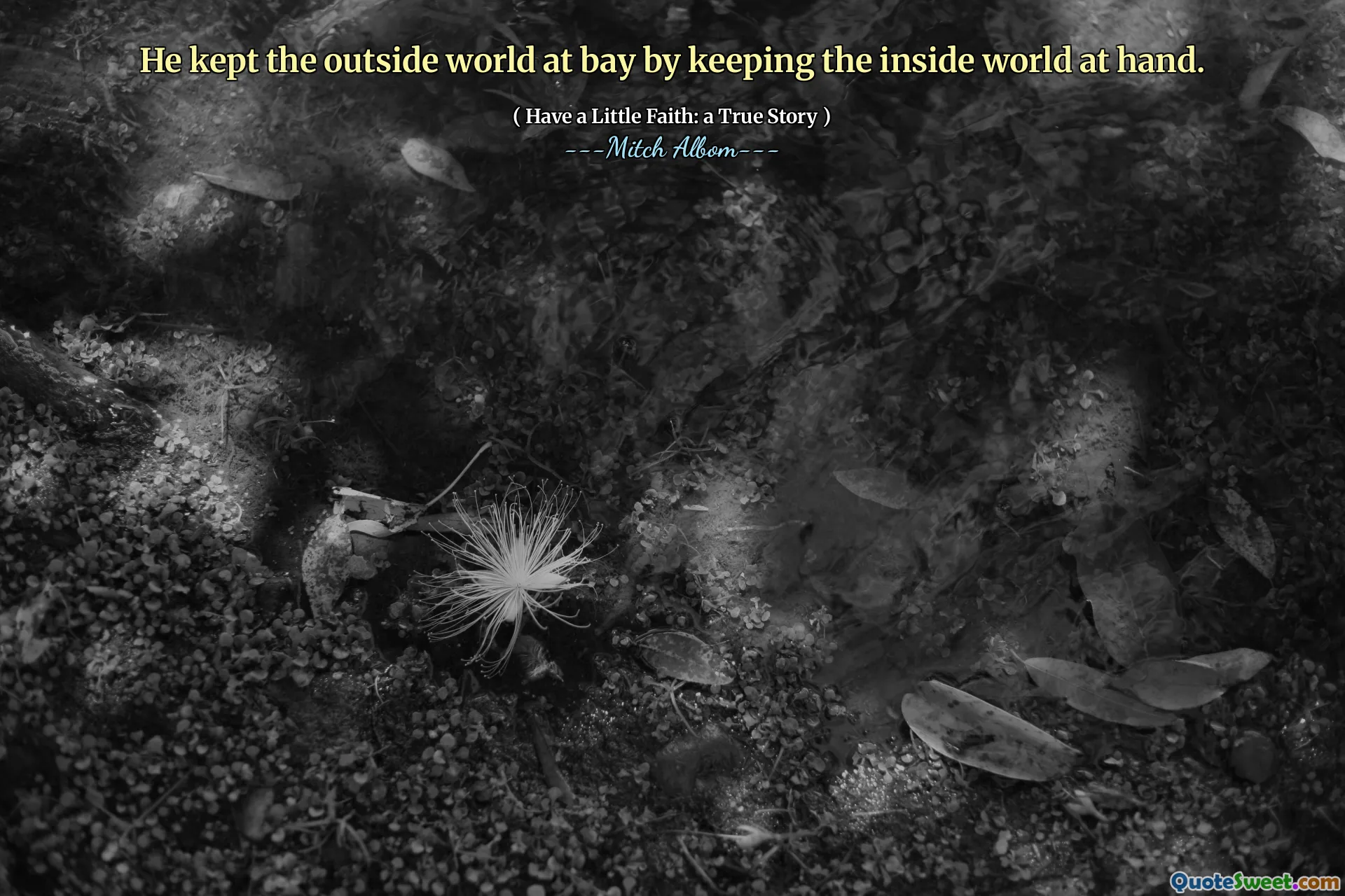 Er hielt die Außenwelt in Schach, indem er die innere Welt zur Hand hielt.