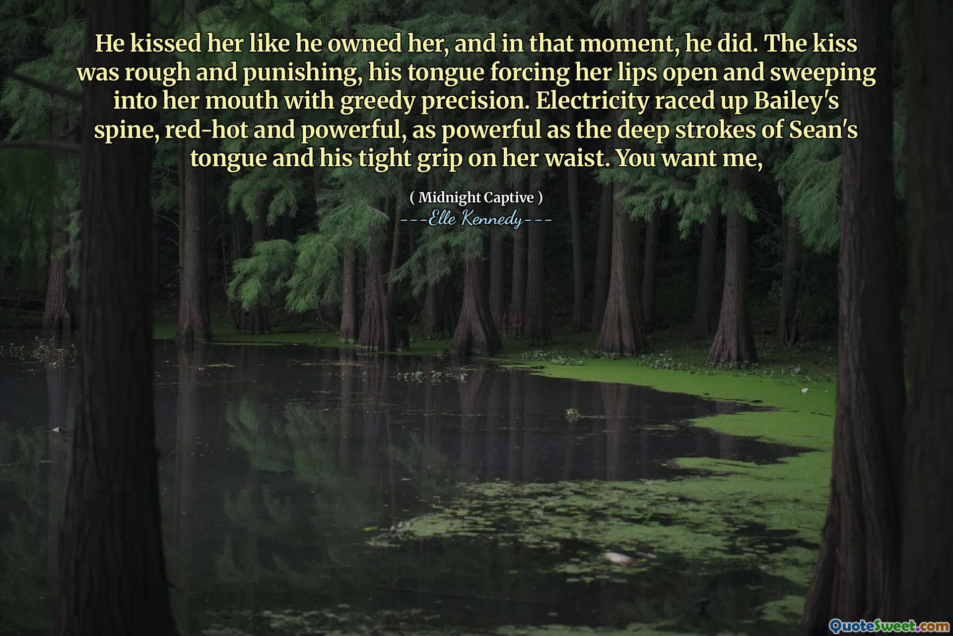 He kissed her like he owned her, and in that moment, he did. The kiss was rough and punishing, his tongue forcing her lips open and sweeping into her mouth with greedy precision. Electricity raced up Bailey's spine, red-hot and powerful, as powerful as the deep strokes of Sean's tongue and his tight grip on her waist. You want me,