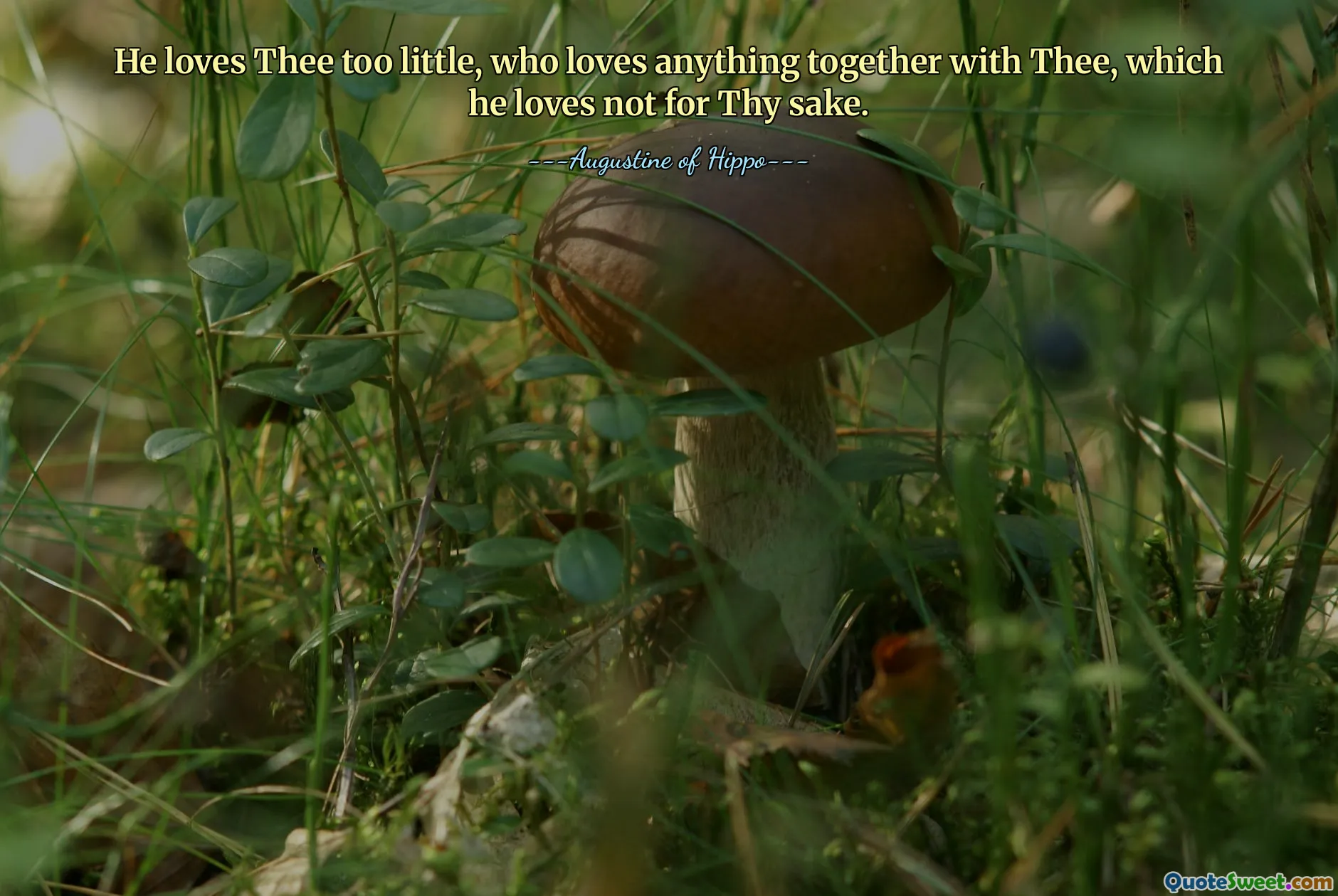 He loves Thee too little, who loves anything together with Thee, which he loves not for Thy sake.