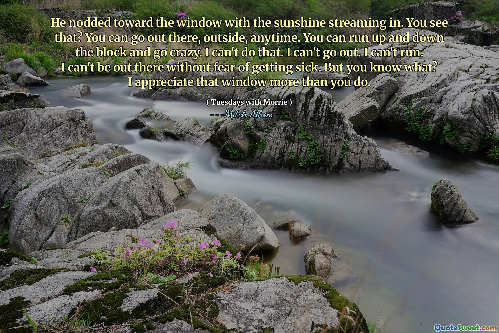 他向窗户点了点头，阳光流着。你知道吗？您可以随时随地出去外面。您可以在街区上下奔跑并发疯。我不能那样做。我不能出去。我不能跑。我不能不担心生病了。但是你知道吗？我比您更欣赏该窗口。