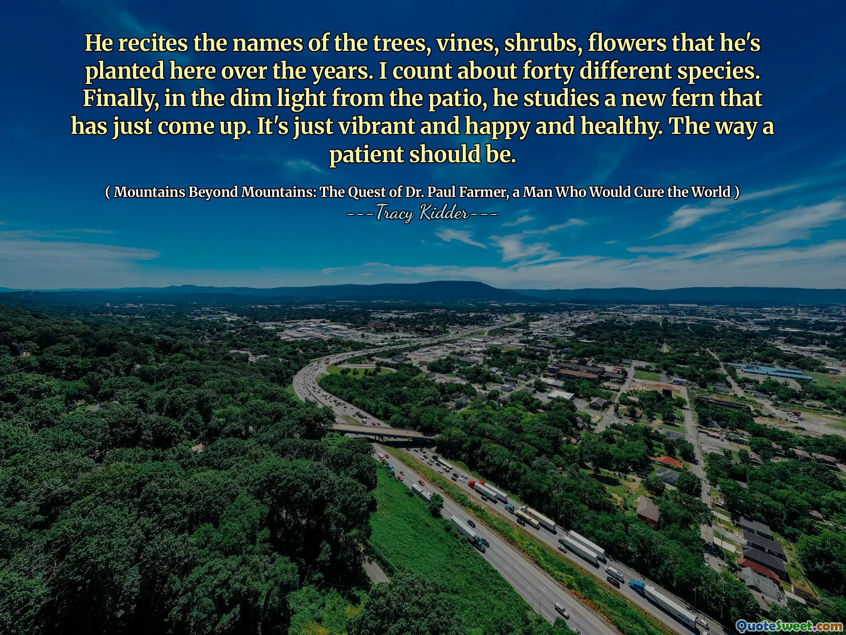 He recites the names of the trees, vines, shrubs, flowers that he's planted here over the years. I count about forty different species. Finally, in the dim light from the patio, he studies a new fern that has just come up. It's just vibrant and happy and healthy. The way a patient should be.
