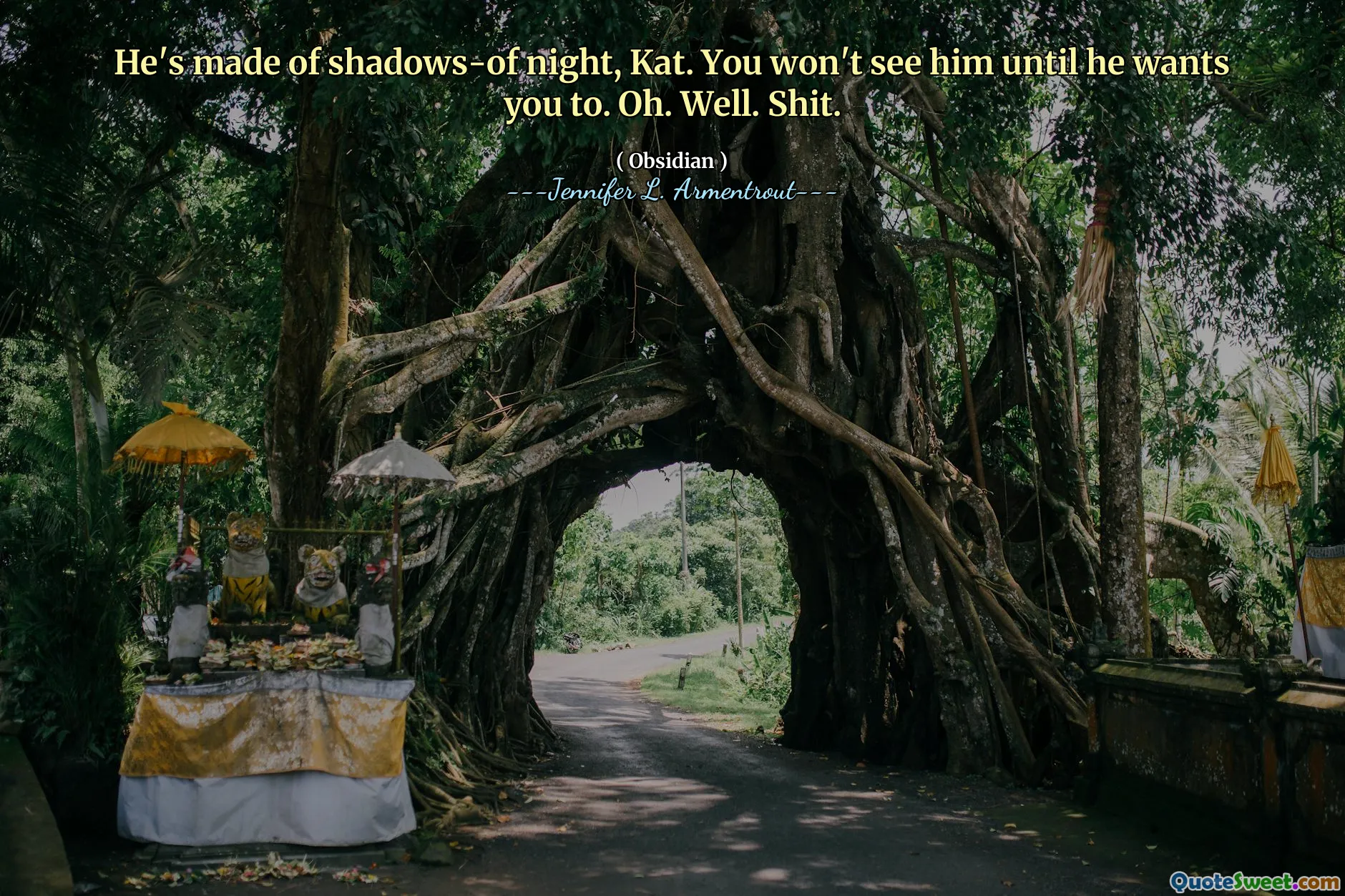 He's made of shadows-of night, Kat. You won't see him until he wants you to. Oh. Well. Shit.