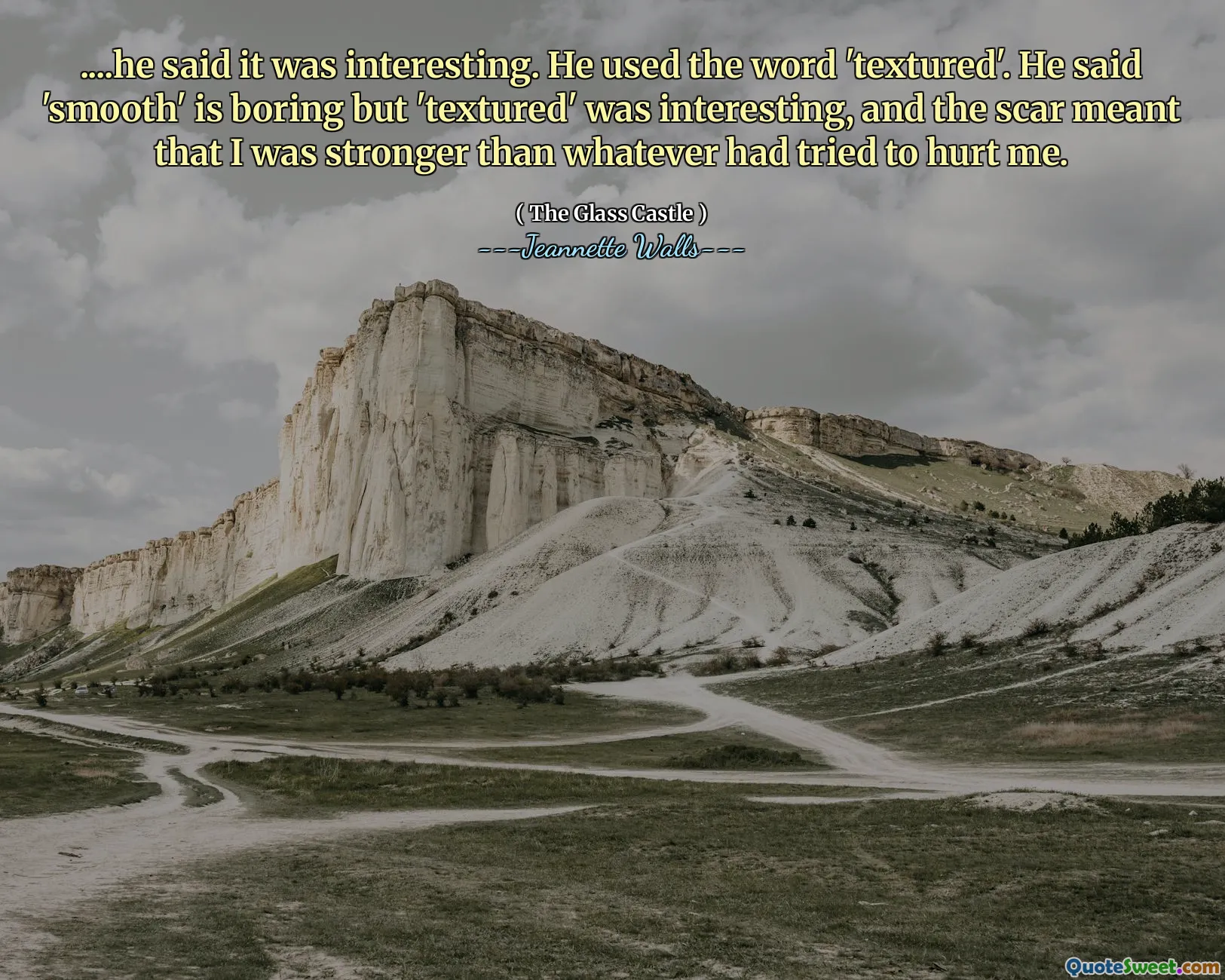 ....他说这很有趣。他使用了“纹理”一词。他说“平滑”很无聊，但“纹理”很有趣，疤痕意味着我比试图伤害我的任何东西都要强大。