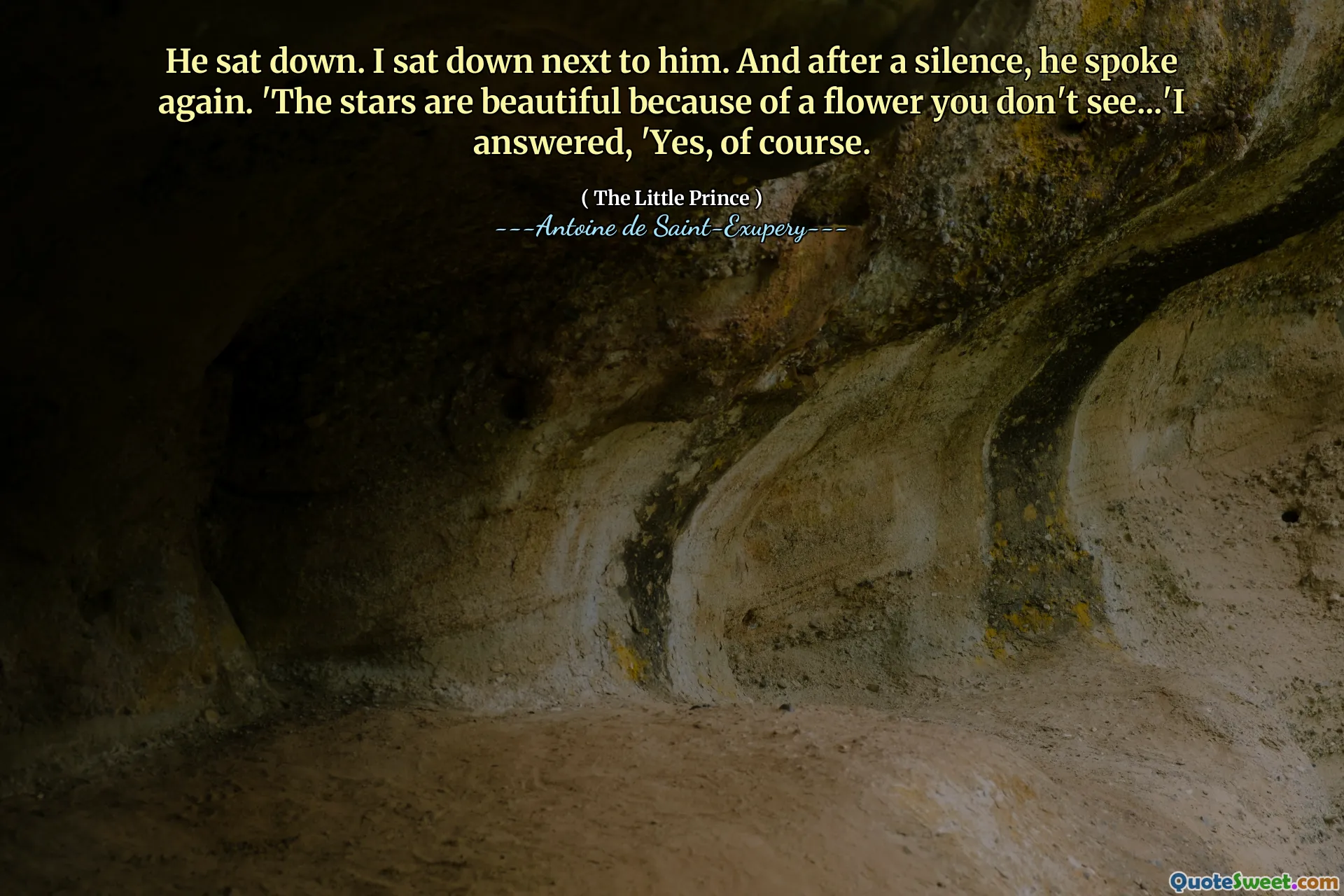 He sat down. I sat down next to him. And after a silence, he spoke again. 'The stars are beautiful because of a flower you don't see...'I answered, 'Yes, of course.