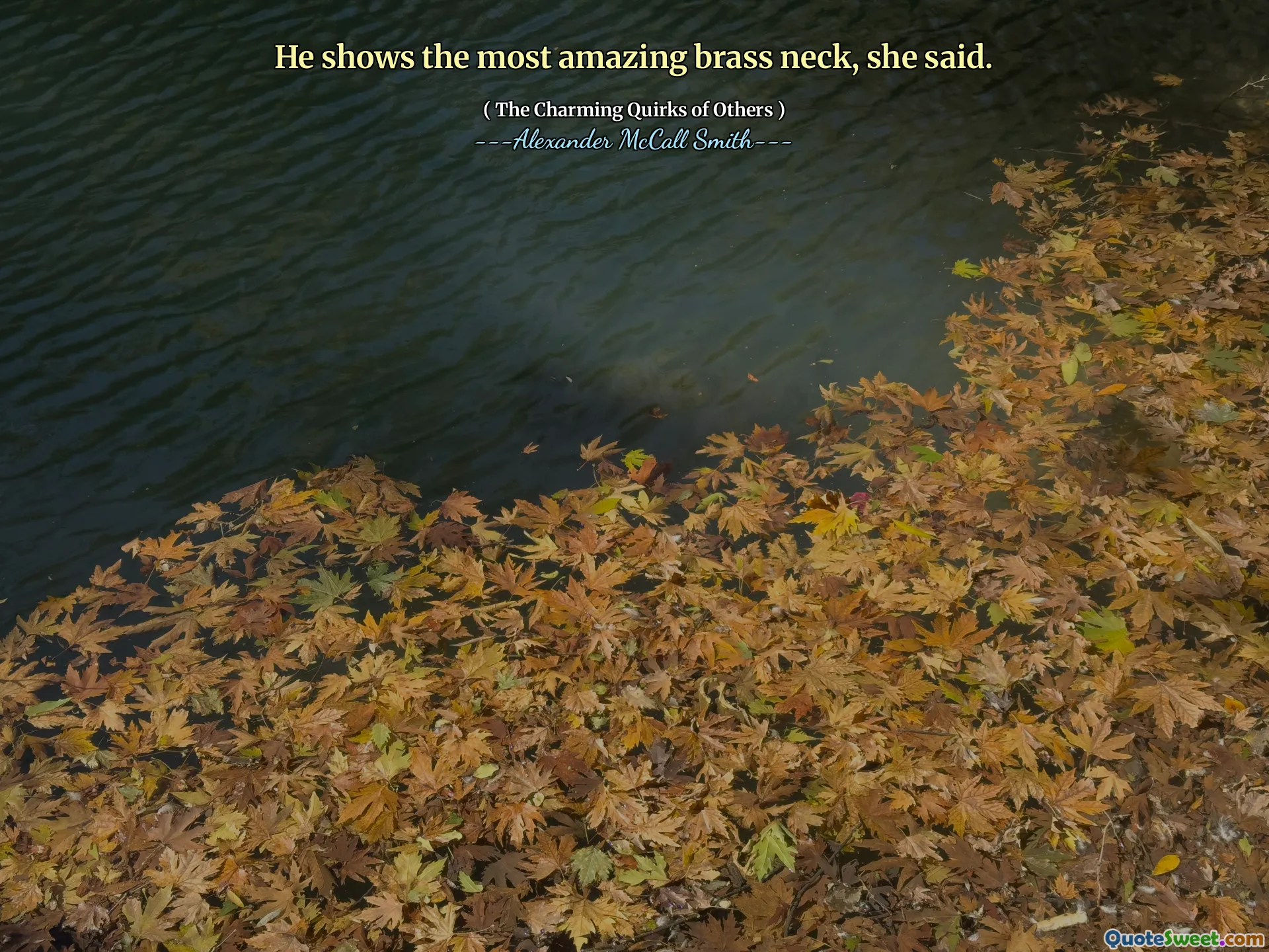 He shows the most amazing brass neck, she said.