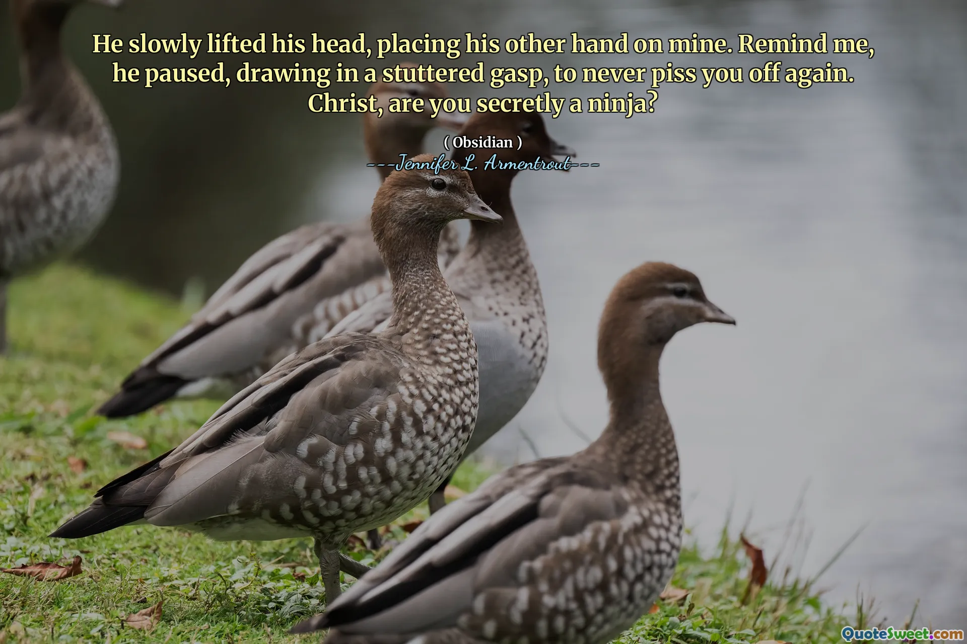 He slowly lifted his head, placing his other hand on mine. Remind me, he paused, drawing in a stuttered gasp, to never piss you off again. Christ, are you secretly a ninja?