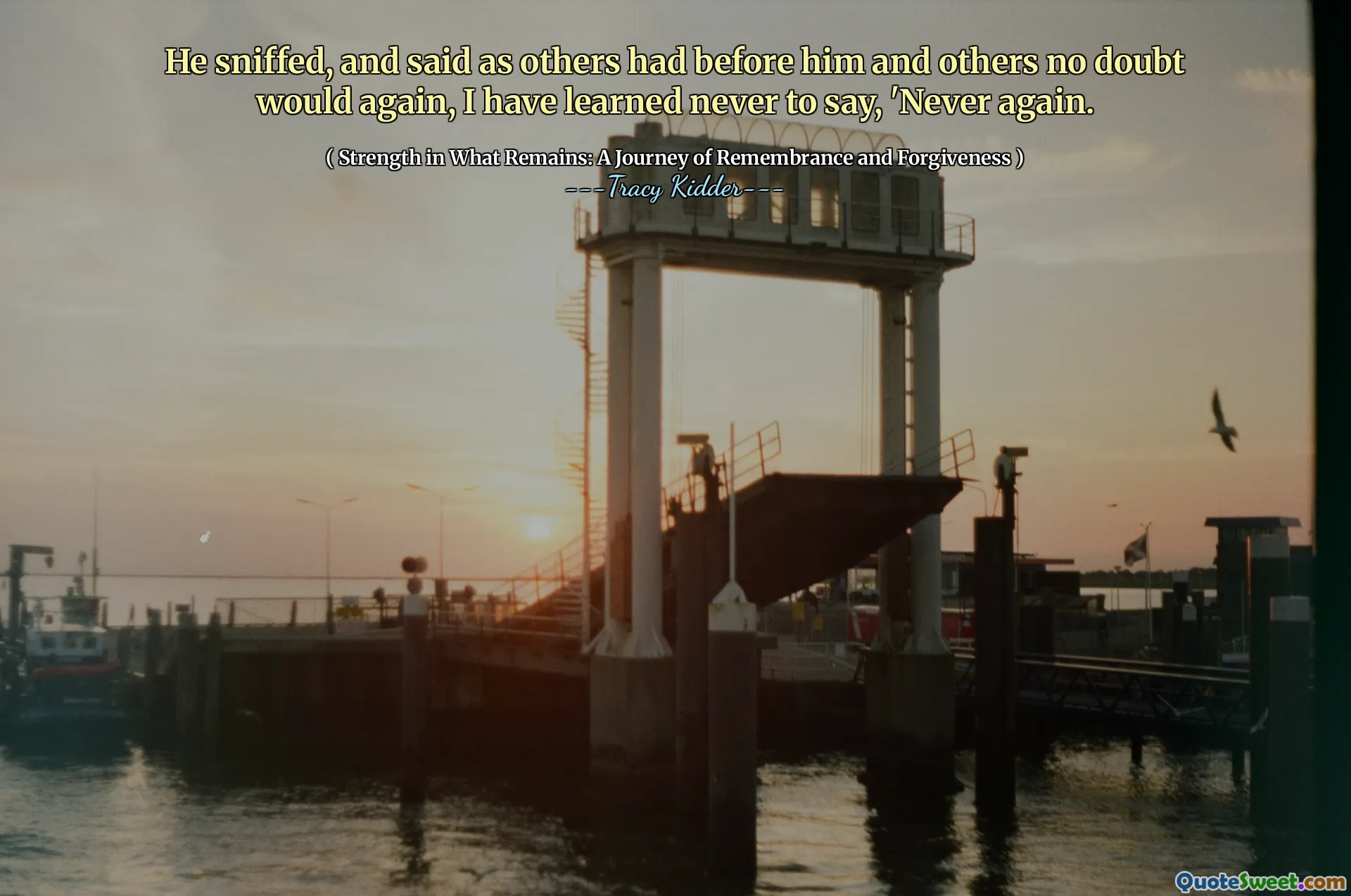 Dia mengendus, dan berkata seperti yang dimiliki orang lain sebelum dia dan orang lain tidak diragukan lagi, aku tidak pernah belajar untuk mengatakan, 'tidak pernah lagi.