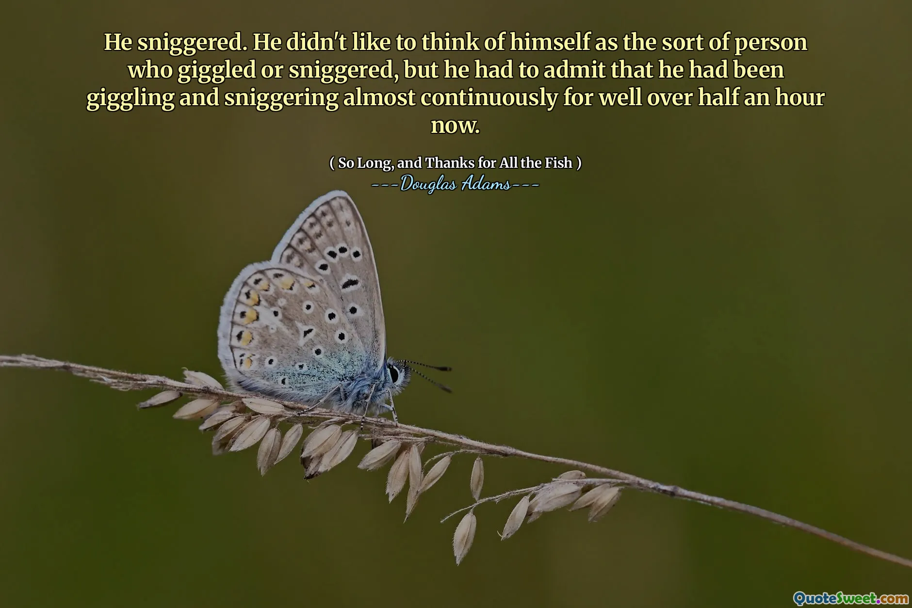 He sniggered. He didn't like to think of himself as the sort of person who giggled or sniggered, but he had to admit that he had been giggling and sniggering almost continuously for well over half an hour now.