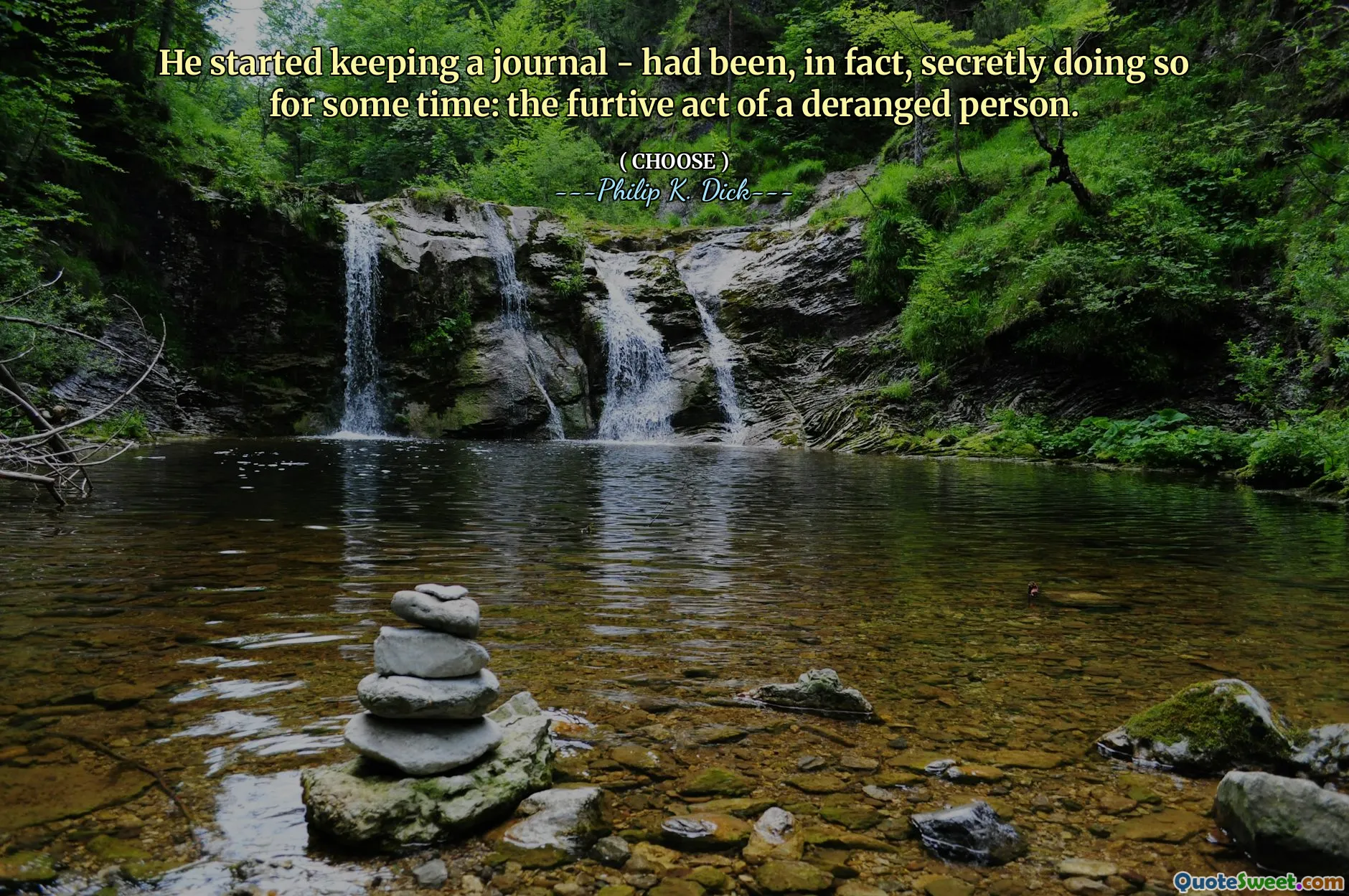 بدأ في الحفاظ على مجلة - في الواقع ، كان يفعل ذلك سراً لبعض الوقت: الفعل الغريب لشخص مشوش.