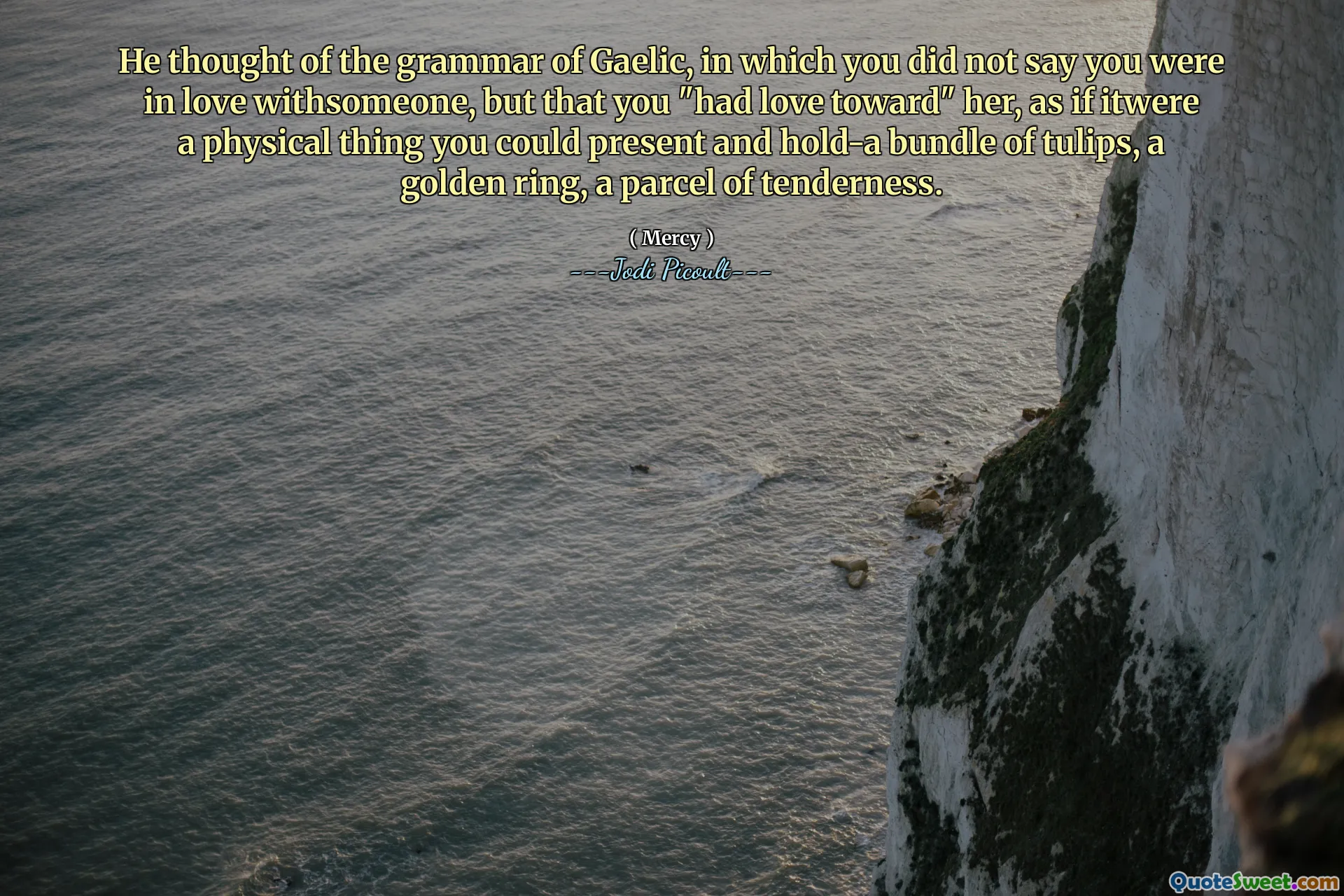 He thought of the grammar of Gaelic, in which you did not say you were in love withsomeone, but that you "had love toward" her, as if itwere a physical thing you could present and hold-a bundle of tulips, a golden ring, a parcel of tenderness.