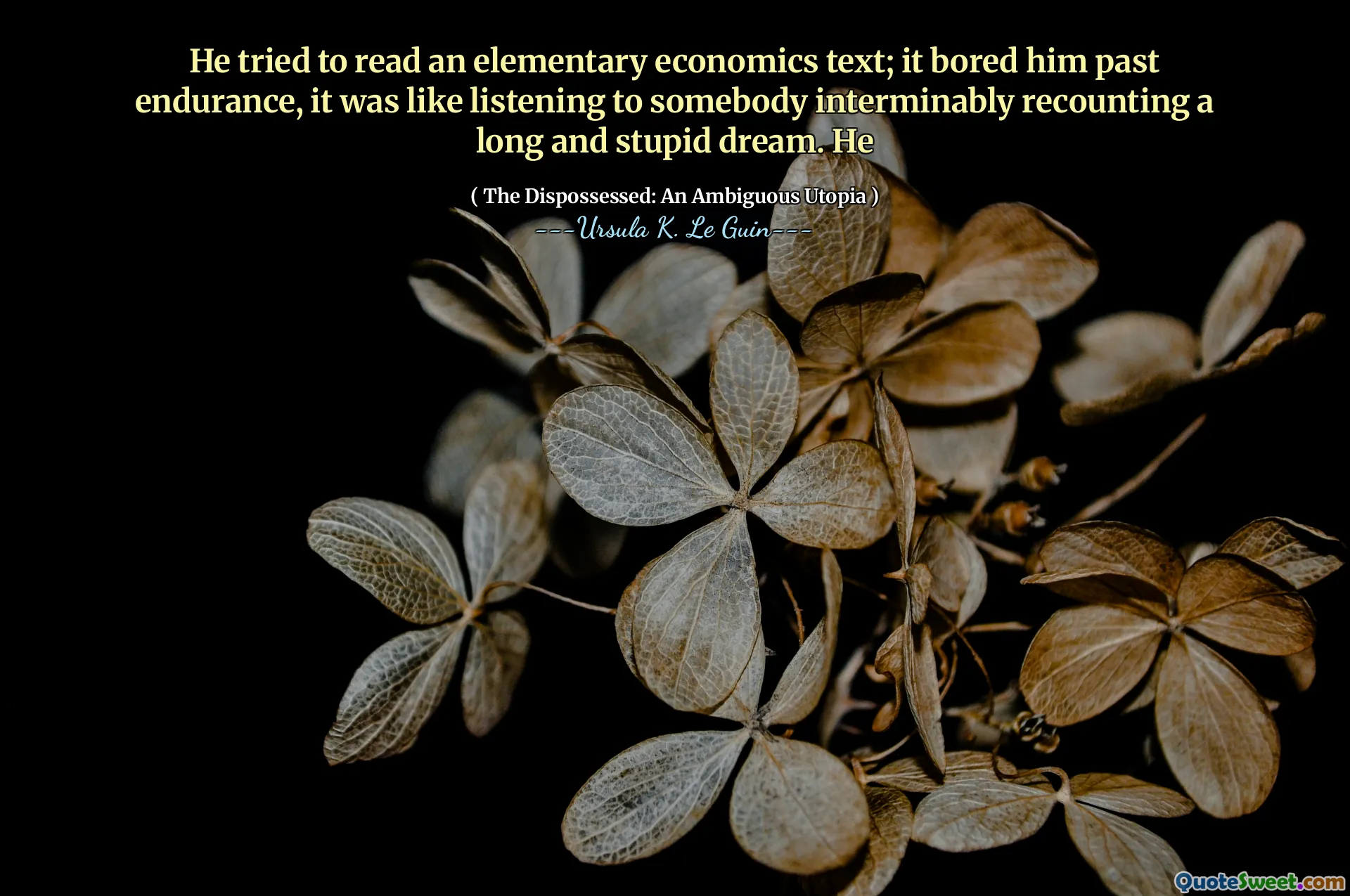 He tried to read an elementary economics text; it bored him past endurance, it was like listening to somebody interminably recounting a long and stupid dream. He