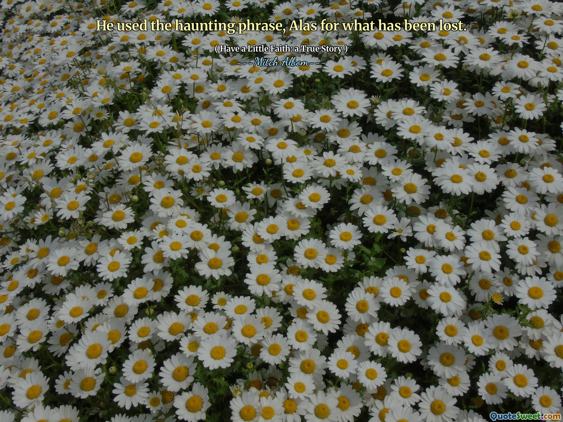 그는 잃어버린 것들에 대해 잊혀지지 않는 문구를 사용했습니다.