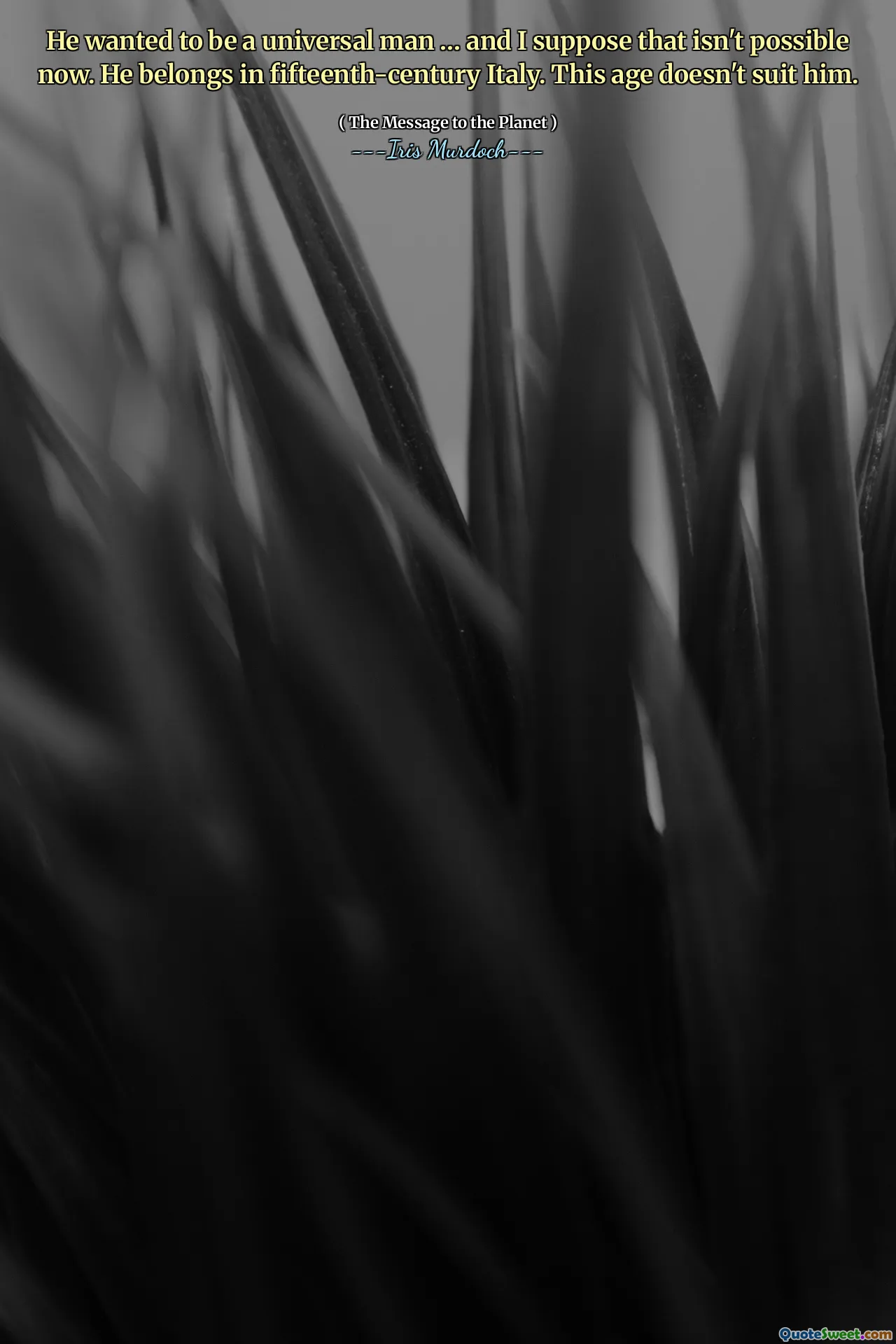 He wanted to be a universal man … and I suppose that isn't possible now. He belongs in fifteenth-century Italy. This age doesn't suit him.