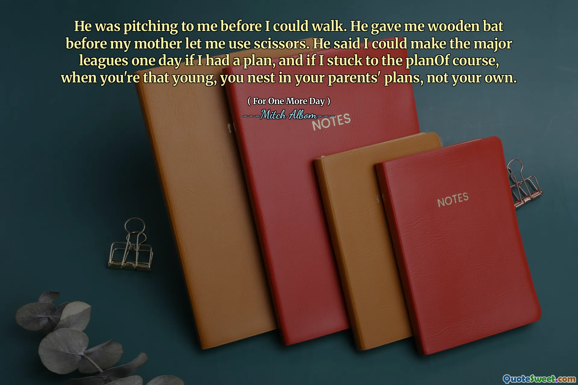 Mi stava lanciando prima che potessi camminare. Mi ha dato la mazza di legno prima che mia madre mi lasciasse usare le forbici. Ha detto che un giorno avrei potuto fare i campionati principali se avessi un piano, e se mi sono attaccato al piano di piano, quando sei così giovane, nidifichi nei piani dei tuoi genitori, non i tuoi.