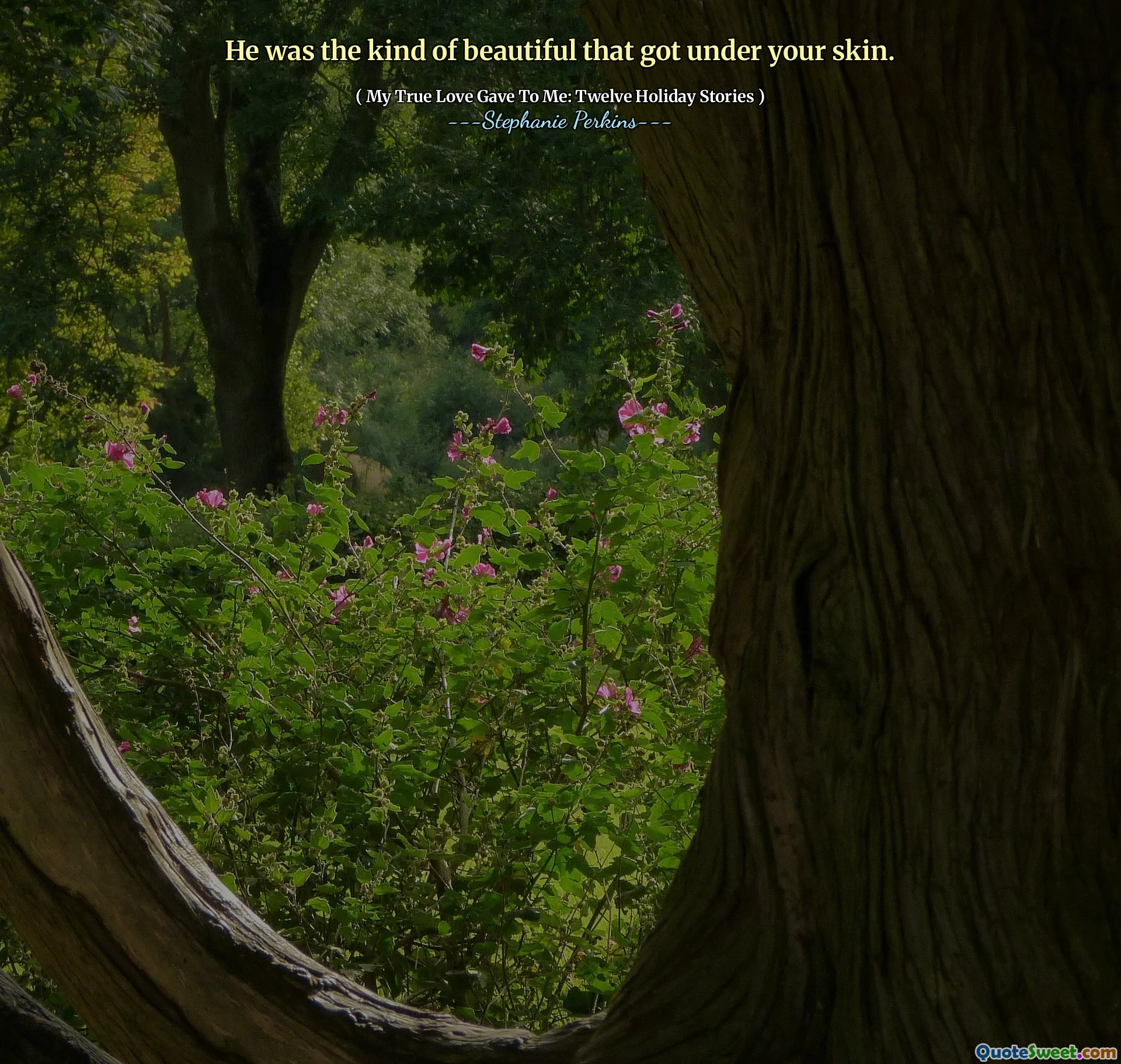 He was the kind of beautiful that got under your skin.