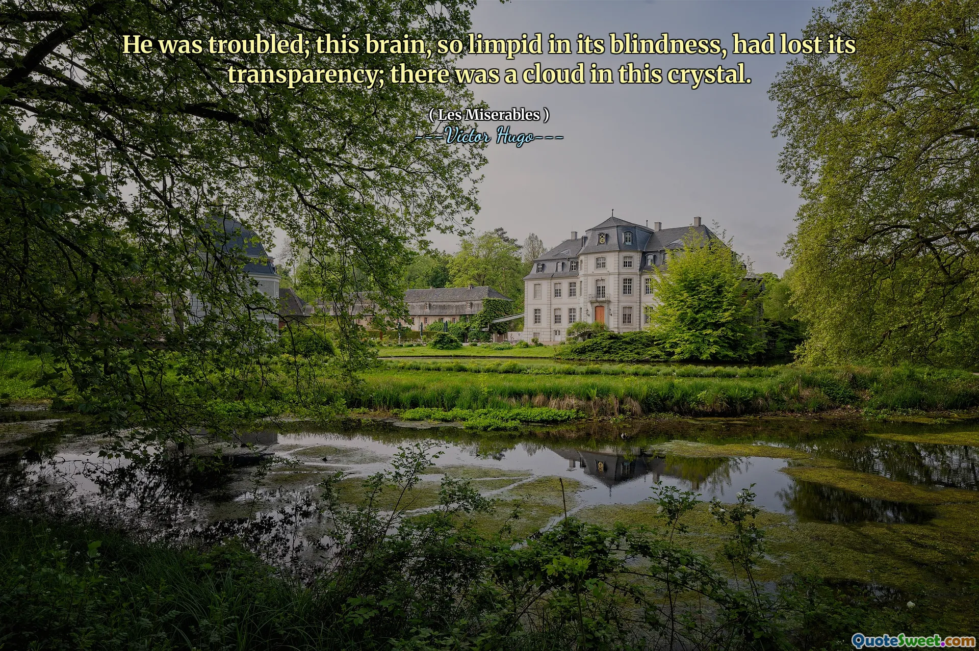 He was troubled; this brain, so limpid in its blindness, had lost its transparency; there was a cloud in this crystal.