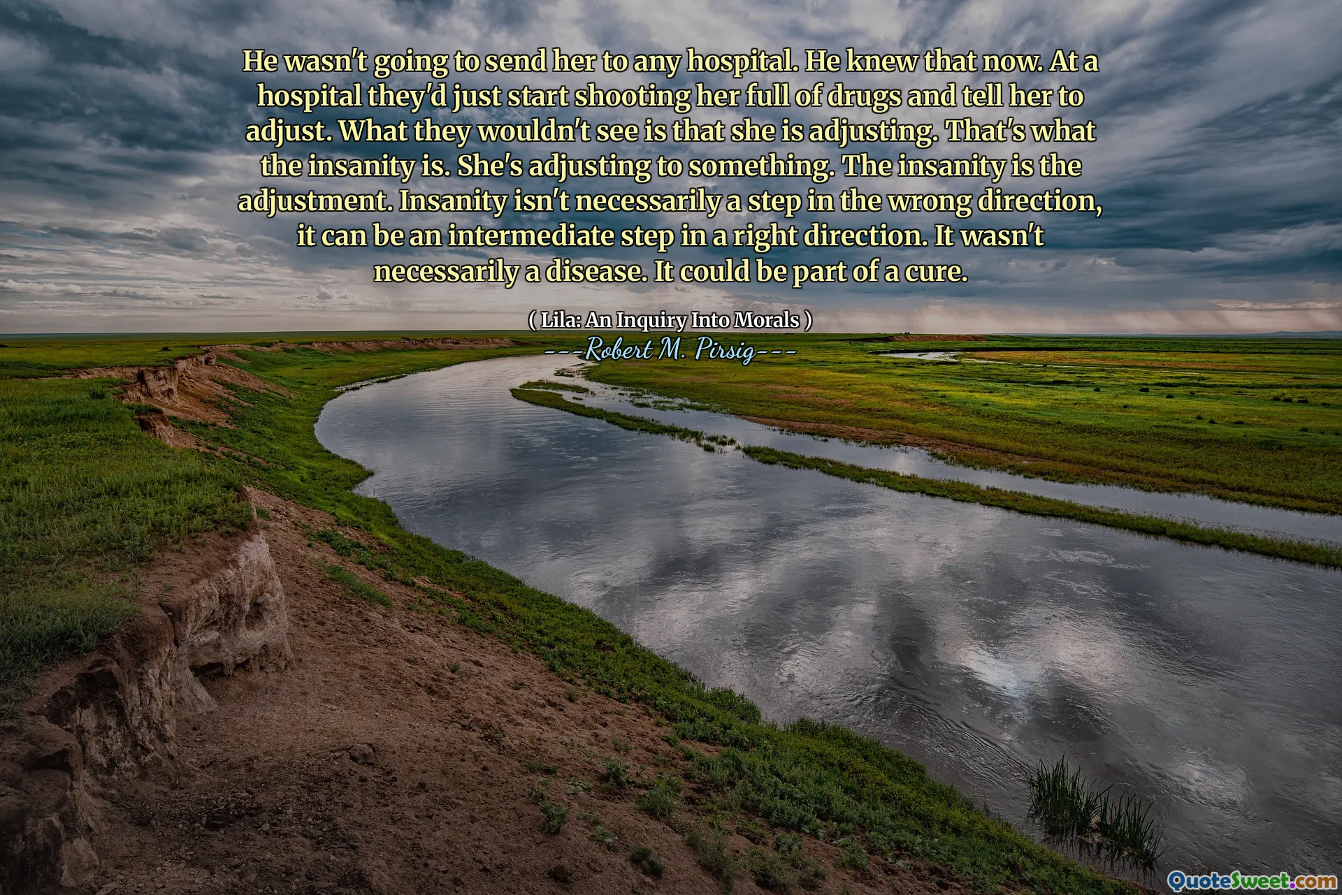 He wasn't going to send her to any hospital. He knew that now. At a hospital they'd just start shooting her full of drugs and tell her to adjust. What they wouldn't see is that she is adjusting. That's what the insanity is. She's adjusting to something. The insanity is the adjustment. Insanity isn't necessarily a step in the wrong direction, it can be an intermediate step in a right direction. It wasn't necessarily a disease. It could be part of a cure.